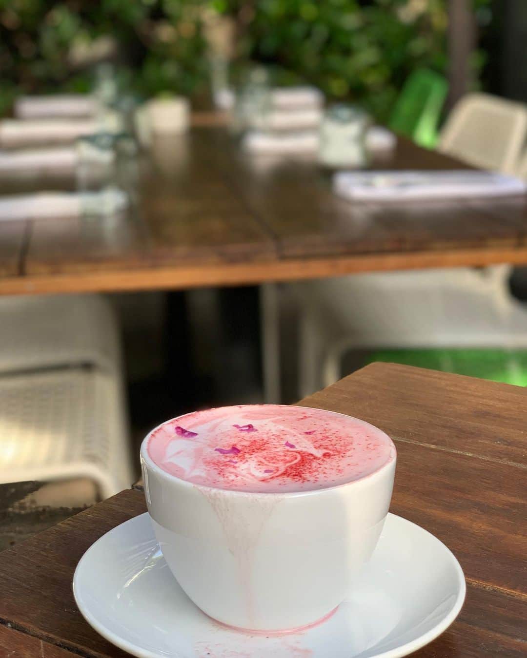 片原恵麻さんのインスタグラム写真 - (片原恵麻Instagram)「𝑅𝑜𝑠𝑒 𝑐𝑎𝑓𝑒🥀 . . veniceで絶対行こうて決めてたカフェ❤︎ 緑に囲まれてて内装もオシャレで文字通りステキなカフェだったなぁ.。♡ あとRose latte(だったかな💭)がとっても美味しかった〜☕️ . . . . . #therose#rosecafe#venicebeach #la#triptola#santamonica#lacafe#cafelife#roselatte#losangels#ロサンゼルス#ロサンゼルス旅行#ベニスビーチ#サンタモニカ#カリフォルニア#ロサンゼルスカフェ#ベニスカフェ#ローズカフェ#カフェ巡り#カフェ巡り部#えまのカフェ日記#カフェスタグラム」1月11日 13時14分 - emma_katahara