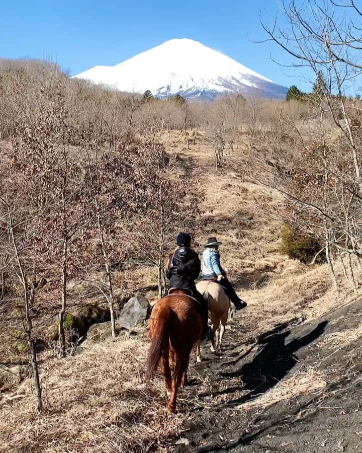 山崎みどりのインスタグラム