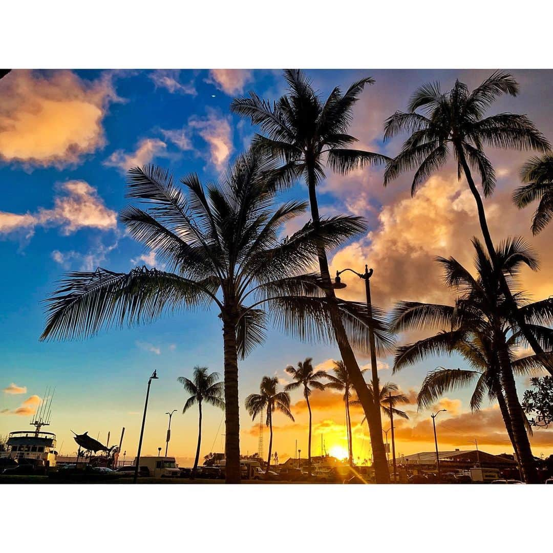 家原里佳さんのインスタグラム写真 - (家原里佳Instagram)「. . 2019➡︎2020🧸  in Hawaii🏝🧡 . . 毎日お買い物と暴飲暴食がセット🤗 初詣はハワイの出雲大社⛩へ行ってきたよー！！ . 久しぶりにこんなにも写真撮ったわ❤️ 沢山ストーリー見て下さってありがとうございました。 . さて、今年はどんな一年になるかな🥰✊🏻 . . #newyear #hawaii  #honolulu #2020 #travel #✈ #lanikaibeach #kailuabeach  #オアフ島 #pinkpillbox #shopping #rainbow #🌈🌈🌈🌈🌈🌈 #sunset_pics」1月11日 13時26分 - rikachi_1130