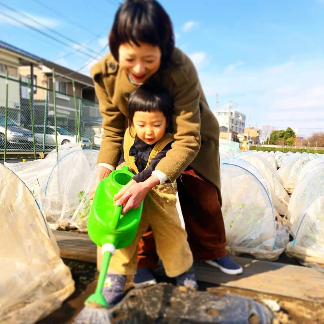 新井美穂さんのインスタグラム写真 - (新井美穂Instagram)「今日は娘と家の近くにある「シェア畑」のプチ農業体験会へ。 保育園で野菜育ててるから自信があったのか作業にあたって、やたら私に上から目線の娘が少し鼻についたけど（笑） 共に協力し合って#プチ農業 楽しみました👩‍🌾👨‍🌾 そして何故か今更、よりにもよって畑で#ハイハイ復活#どろんこ娘 😭（笑） #娘3歳7ヶ月#仲良し母娘#母娘休日」1月11日 14時06分 - arai_miho