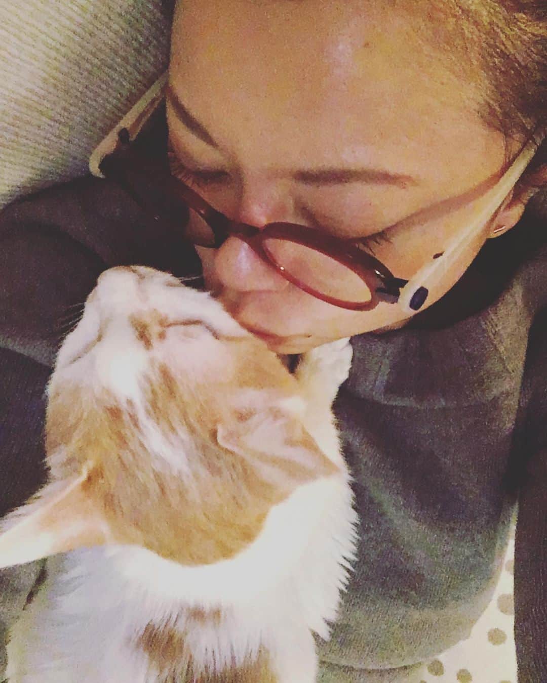 のインスタグラム：「ちゅっちゅっちゅるちゅちゅ ちゅちゅっちゅー💋  ママーそんなところで、いい年増のおんなが寝ちゃダメよって、イオちゃんがピコピコおなかにのってきたのよね。  ふるふふふるふふ ふふっふー  #猫沢イオ　#真夜中の年増園♡」