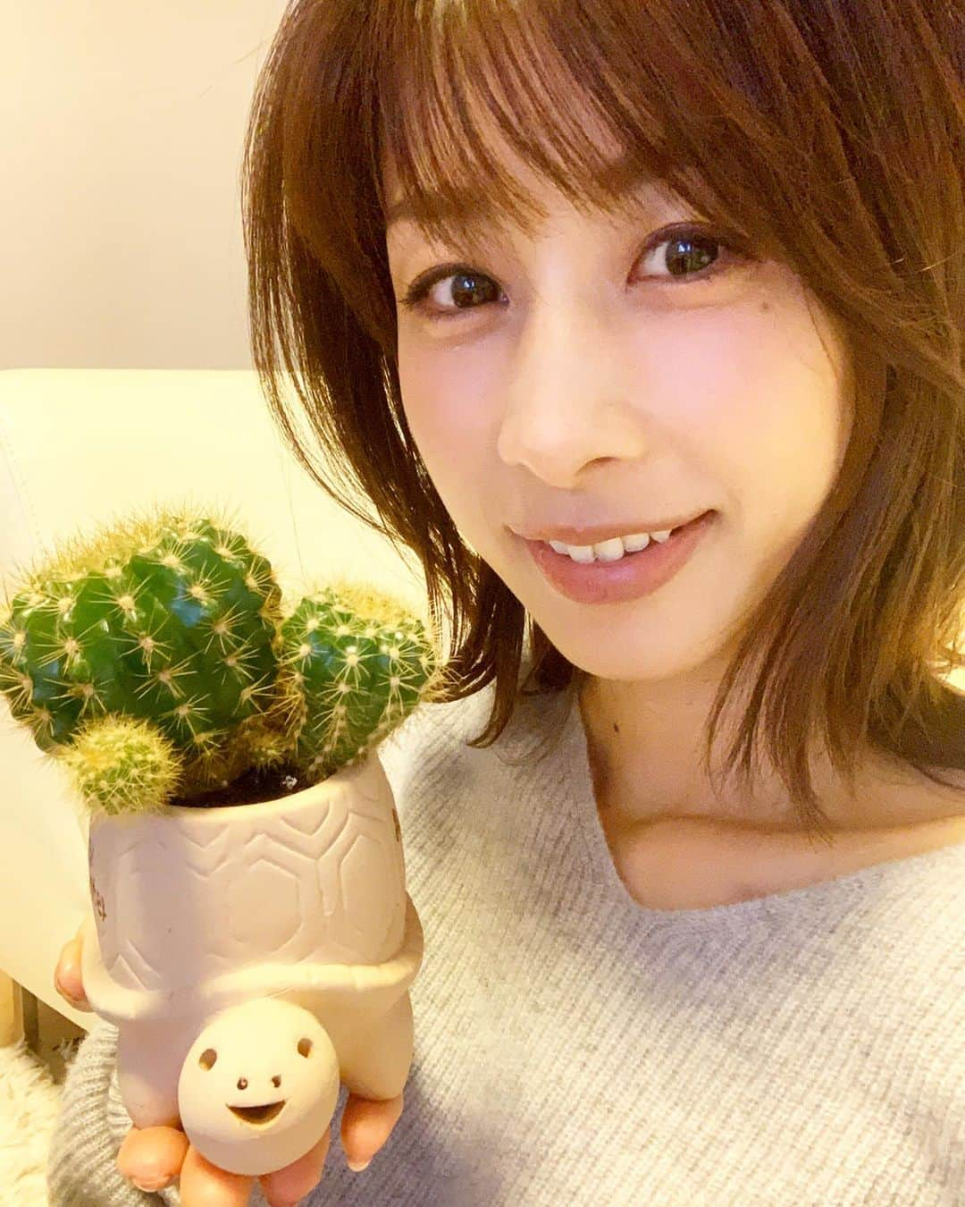 加藤綾子さんのインスタグラム写真 - (加藤綾子Instagram)「* うちのサボテン🌵✨ 2020年も勢いづいてる予感🙆‍♀️ 今年もちょくちょく載せていきますね🐢🏜✨ #カバサボテンも元気です #後ろ姿もどうぞ」1月11日 17時44分 - ayako_kato.official