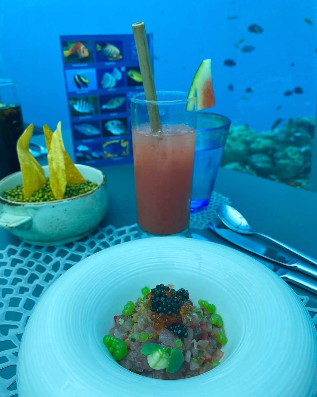 はるたむさんのインスタグラム写真 - (はるたむInstagram)「5.8 UNDERSEA RESTAURANT🐠💕 . Birthday Lunchは モルディブで最大の 海中レストランで🍴✨ . 料理もキャビアだらけだし 美味しかった😍 . アリエルの世界🧜‍♀️ 5.8ｍ 海中にあるの！ スワイプして動画もみてね💋 . .  #モルディブ #海外旅行 #カウントダウン #誕生日 #水上コテージ #海中レストラン  #海 #sea #countdown #undersearestaurant  #undersearestauranthurawalhi  #58undersearestaurant  #hydroaeroplane  #resort #mybirthday #abroadtrip #maldives #🦈 #🐠 #🌴#✈️ #👙」1月11日 18時30分 - harutamu02