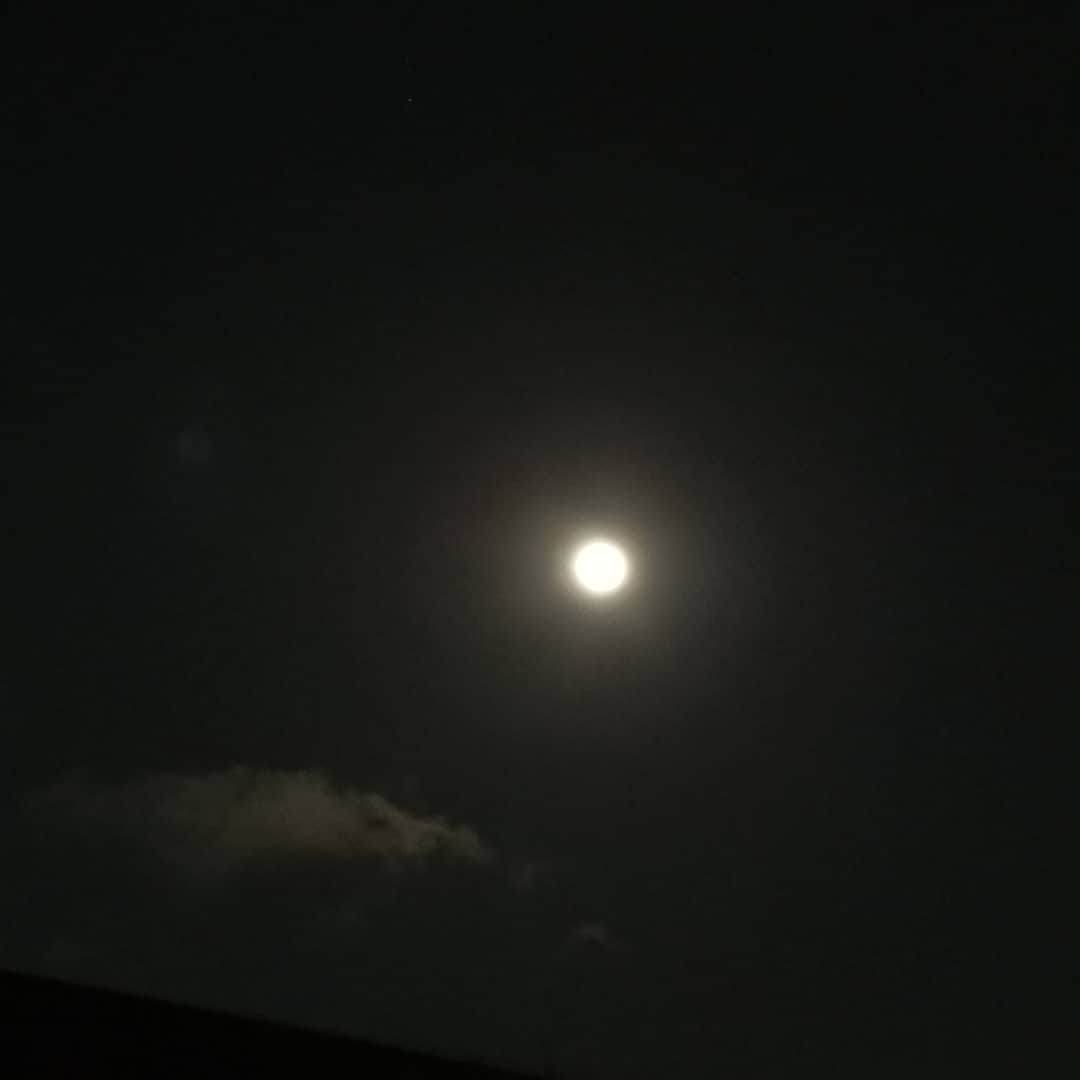 なだぎ武さんのインスタグラム写真 - (なだぎ武Instagram)「今宵は月が大きくて綺麗でピカピカしてる。。 ワシの携帯カメラではこれが限界みたいや、、😅 #ウルフムーン🐺🌕 #かっこええ名前やん」1月11日 20時08分 - nadagigigi