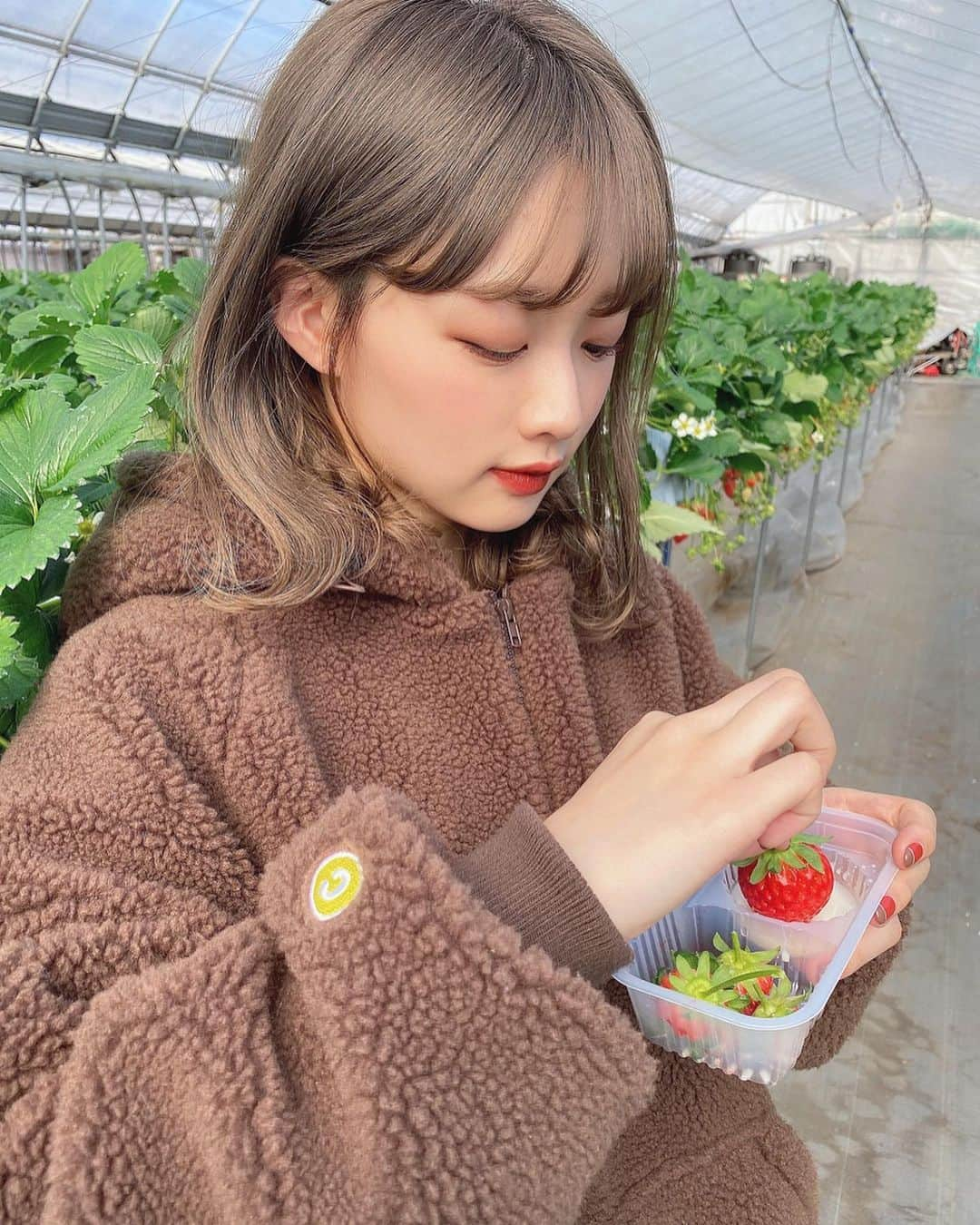 森下愛里沙(もりしたありさ) さんのインスタグラム写真 - (森下愛里沙(もりしたありさ) Instagram)「ㅤㅤㅤㅤㅤㅤㅤㅤㅤㅤㅤㅤㅤ ㅤㅤㅤㅤㅤㅤㅤㅤㅤㅤㅤㅤㅤ ㅤㅤㅤㅤㅤㅤㅤㅤㅤㅤㅤㅤㅤ ㅤㅤㅤㅤㅤㅤㅤㅤㅤㅤㅤㅤㅤ イチゴ狩り🍓 最高に美味しかったです！！！！ ㅤㅤㅤㅤㅤㅤㅤㅤㅤㅤㅤㅤㅤ ㅤㅤㅤㅤㅤㅤㅤㅤㅤㅤㅤㅤㅤ ㅤㅤㅤㅤㅤㅤㅤㅤㅤㅤㅤㅤㅤ おばあちゃんとお母さんと妹と私でいきました☺︎ ㅤㅤㅤㅤㅤㅤㅤㅤㅤㅤㅤㅤㅤ お婆ちゃんㅤㅤ..31個👵🏻🍓 お母さんㅤㅤㅤ..67個👩🏻🍓 私ㅤㅤㅤㅤㅤㅤㅤ70個👩🏻‍🦰🍓 妹ㅤㅤㅤㅤㅤㅤㅤ83個👧🏻🍓 ㅤㅤㅤㅤㅤㅤㅤㅤㅤㅤㅤㅤㅤ 目指せ100個で1番になりたかったけど 妹を越えようとするとそれを越えようとする妹に 勝ち目がないと諦めました(笑 ㅤㅤㅤㅤㅤㅤㅤㅤㅤㅤㅤㅤㅤ ㅤㅤㅤㅤㅤㅤㅤㅤㅤㅤㅤㅤㅤ　 100個は程遠いなぁ、、、🥺 ㅤㅤㅤㅤㅤㅤㅤㅤㅤㅤㅤㅤㅤ ㅤㅤㅤㅤㅤㅤㅤㅤㅤㅤㅤㅤㅤ お腹いっぱい！🧏🏻‍♀️💓幸せ！ ㅤㅤㅤㅤㅤㅤㅤㅤㅤㅤㅤㅤㅤ ㅤㅤㅤㅤㅤㅤㅤㅤㅤㅤㅤㅤㅤ ㅤㅤㅤㅤㅤㅤㅤㅤㅤㅤㅤㅤㅤ ㅤㅤㅤㅤㅤㅤㅤㅤㅤㅤㅤㅤㅤ ㅤㅤㅤㅤㅤㅤㅤㅤㅤㅤㅤㅤㅤ コメント返すよ📝 ㅤㅤㅤㅤㅤㅤㅤㅤㅤㅤㅤㅤㅤ ㅤㅤㅤㅤㅤㅤㅤㅤㅤㅤㅤㅤㅤ ㅤㅤㅤㅤㅤㅤㅤㅤㅤㅤㅤㅤㅤ #いちご狩り #いちご狩り🍓 #いちご #苺 #食べ放題 #韓国 #ファッション #韓国ファッション #like4likes #instalike #l4l #instagood #strawberry #ootd #dailylook #fashion #koreanfashion #오오티디 #데일리룩 #패션 #옷스타그램 #패션스타그램」1月11日 20時52分 - mini.ari