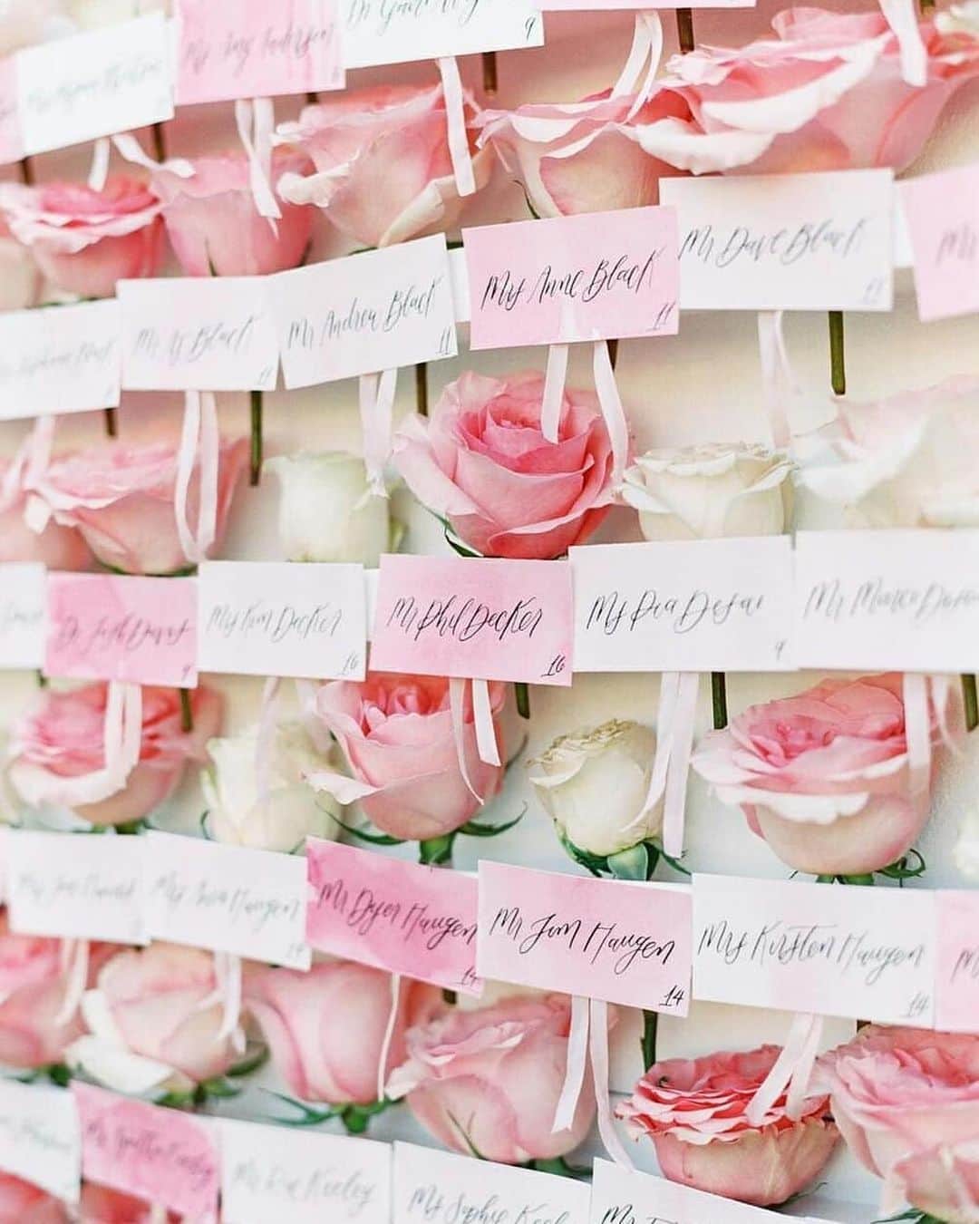 プレ花嫁の結婚式準備サイト marry【マリー】さんのインスタグラム写真 - (プレ花嫁の結婚式準備サイト marry【マリー】Instagram)「*﻿ 海外ウェディングで見つけた﻿ バラの#エスコートカード 🌹✨﻿ ﻿ ピンクと白のバラを﻿ 壁一面に並べたエスコートカードは﻿ #フォトブース にもなる華やかさ💖﻿ ﻿ 取ってもらったら﻿ ゲストテーブルに飾ってもらうのも良いし、﻿ 男性はブートニアに、﻿ 女性は髪飾りにしてもらうのも素敵ですね💕﻿ ﻿ photo by @stylemepretty﻿ ﻿ ﻿ ﻿ ﻿ marryは「世界中の可愛い」を集める﻿ ウェディングサイトです💎﻿ ﻿ サイト内には、﻿ 結婚式のアイデアを紹介する記事が1万以上✨﻿ 毎日朝6時と夕方5時に新着記事をUP✨﻿ @marryxoxo_wd の﻿ プロフィールURLからチェックできます💍﻿ ﻿ 特に人気の記事は﻿ @marryxoxo_id のアカウントでも﻿ 紹介しているので必見🌷﻿ ◌ ❁˚﻿ #プレ花嫁#2020冬婚#2020春婚#2020秋婚#2021春婚#2021夏婚#ゲストテーブル#シーティングチャート#席札#結婚式演出#結婚式装飾#結婚式diy」1月11日 20時53分 - marryxoxo_wd