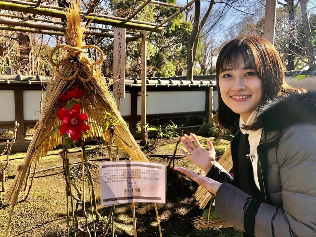 與猶茉穂さんのインスタグラム写真 - (與猶茉穂Instagram)「今年最初のウィークエンドウェザーは東京都台東区の上野東照宮にあるぼたん苑に行ってきました！ 苑内にはひとつひとつが違う美しさを持つたくさんのぼたんがあり、何度も行き来をして見てしまいました👀✨ 今回驚いたのは、黄色のぼたんはいい香りがすること。🌼 顔を近づけてみるととってもいい香りがしました♪  #上野東照宮 #ぼたん苑 #ウィークエンドウェザー #tbs」1月11日 21時17分 - maho_yonao