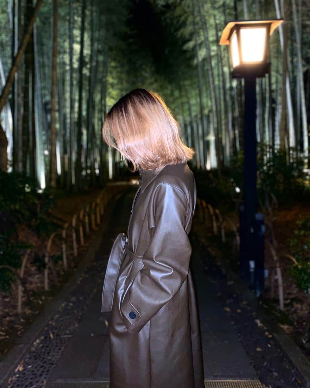 川戸沙羅のインスタグラム：「ふらっとちくりん🎋  #竹林の道  #川の音」