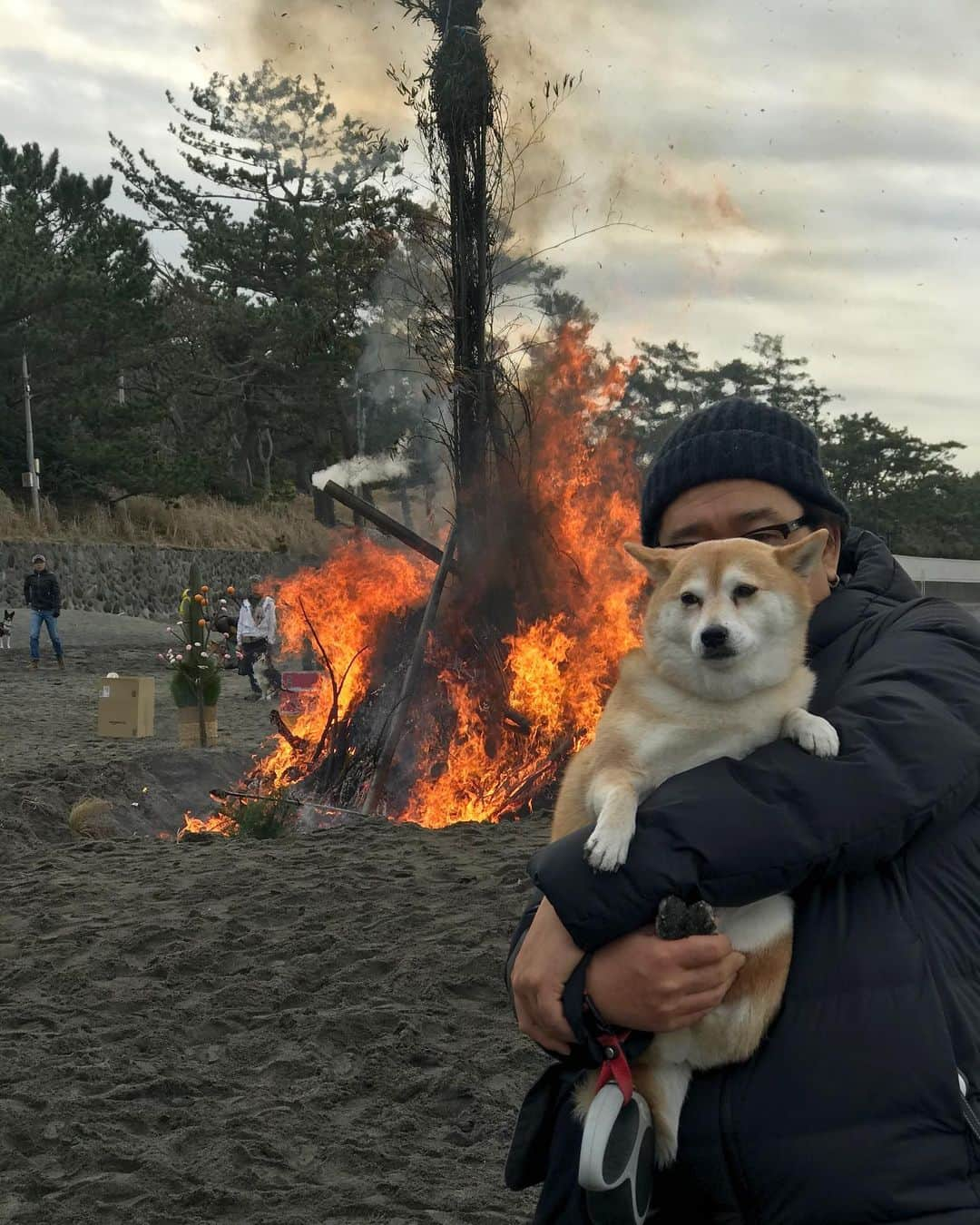 マル子さんのインスタグラム写真 - (マル子Instagram)「本日はどんど焼き🔥 竹などが爆ぜる音にビビってますが、花火ほどは怖くないらしい。  そして浜では振る舞いのコーヒーやお汁粉がいただけたり、 福引のガラガラポンがあったり、 ステキな地域です。  #マル子  #どんど焼き」1月11日 21時25分 - tomikago