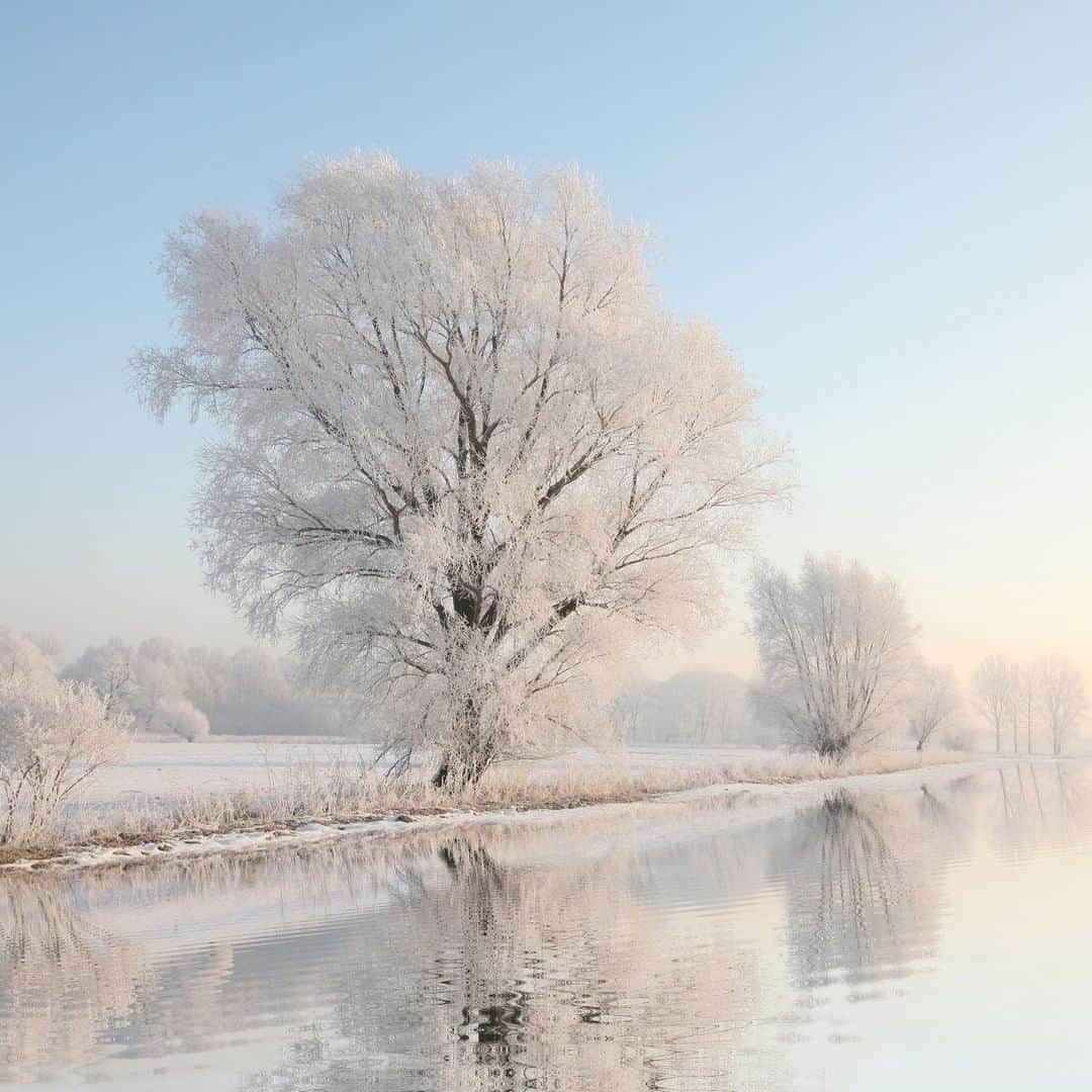 Melvita Officialのインスタグラム：「Dans le silence de l'hiver,  Je veux revoir ce lac étrange, Entre le cristal et le verre  Où viennent se poser des anges.  Signé Robert Charlebois  #poesie #snow」