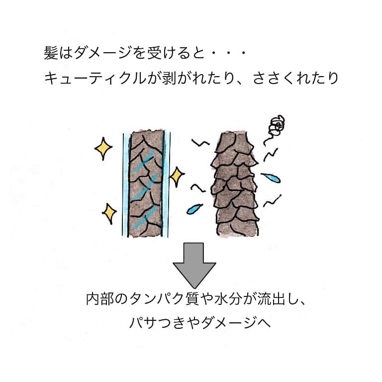 ラ・カスタさんのインスタグラム写真 - (ラ・カスタInstagram)「乾燥に負けない！ ～髪のパサつき対策～ . 寒さと乾燥が一段と増すこの時期。 髪のパサつきにお悩みの方も多いのではないでしょうか？ . ダメージによって髪表面のキューティクルが剥がれ、 内部のタンパク質や水分が流出してしまうことがパサつきの原因… . 空気の乾燥がピークを迎え 髪へのダメージが進行しやすいこの時期は、 入念なケアが必要です👆 . 髪にもスキンケアと同様、 " 水分と油分 " をバランスよく使ったケアを♪ . . ＜ 二段階保湿ケアのHOW TO💡 ＞ . ■STEP1 お風呂上がりのタオルドライした髪に、 アロマエステ トリートメント ヘアローションを 適量スプレーして優しく揉み込みます。 . タンパク質や水分を補い、髪内部にうるおいを届けます◎ . ■STEP2 次に、アロマエステ ヘアエマルジョンを濡れた髪に塗布。 傷みやすい髪の中間から毛先を中心に、 髪全体に揉み込むように馴染ませます。 . 髪の美容液で油分を補給し 髪表面のキューティクルを整えることで、 「天使の輪」が輝く美しいツヤ髪へ導きます✨ . ■STEP3 乾きにくい根元から乾かします。 ふんわりさせたい方は、顔周りの内側に風を入れて乾かしましょう。 コンパクトに仕上げたい方は、ややひっぱるようにテンションをかけて乾かすとまとまりのある仕上がりに。 . 最後に冷風をあててキューティクルを引き締めたら完了◎ . . いかがでしたか？ 二段階保湿ケアのテクニックを実践して、 乾燥に負けないしなやかな髪を手に入れましょう！ . . #lacastanatural #lacasta #ラカスタ #ヘアケア #シャンプー #トリートメント #リラックス #オーガニックコスメ #オーガニックシャンプー #うるおい #ダメージ補修 #ヘアケアアイテム  #今日の1枚 #頭皮ケア #バスタイム #ヘアオイル #洗い流さないトリートメント#美容マニア #美容好きさんと繋がりたい #美容垢さんと繋がりたい #美意識向上委員会 #スキャルプケア #ヘアケア用品 #乾燥対策 #美髪ケア #ダメージケア #ヘアエマルジョン #髪の美容液 #パサつき #乾燥ケア」1月11日 22時02分 - lacasta_official