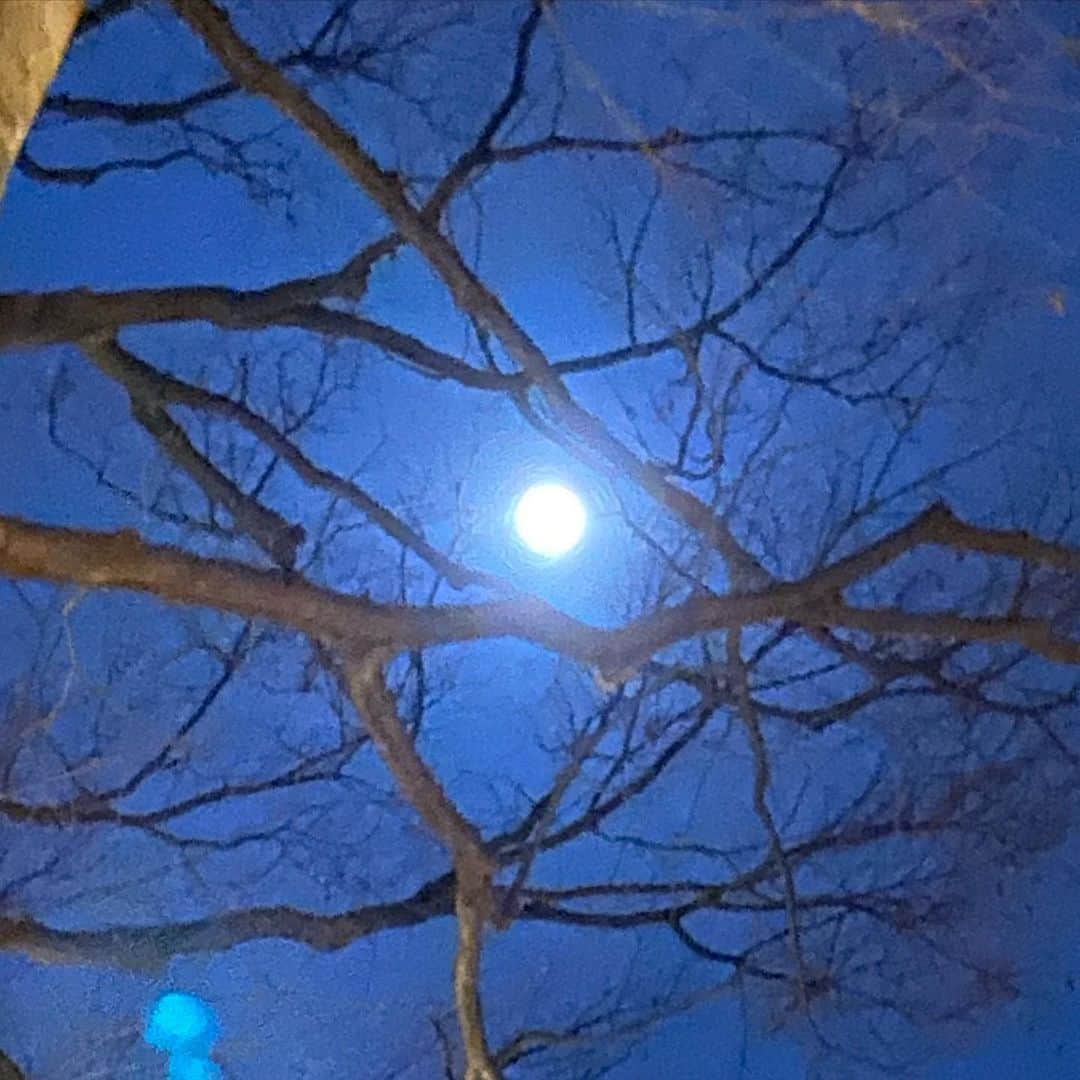HiRAO INCさんのインスタグラム写真 - (HiRAO INCInstagram)「. Make a wish upone a moon for world peace🙏✨ .. . 今年初めての満月。 世界が平和でありますように。」1月11日 22時49分 - kayokohirao