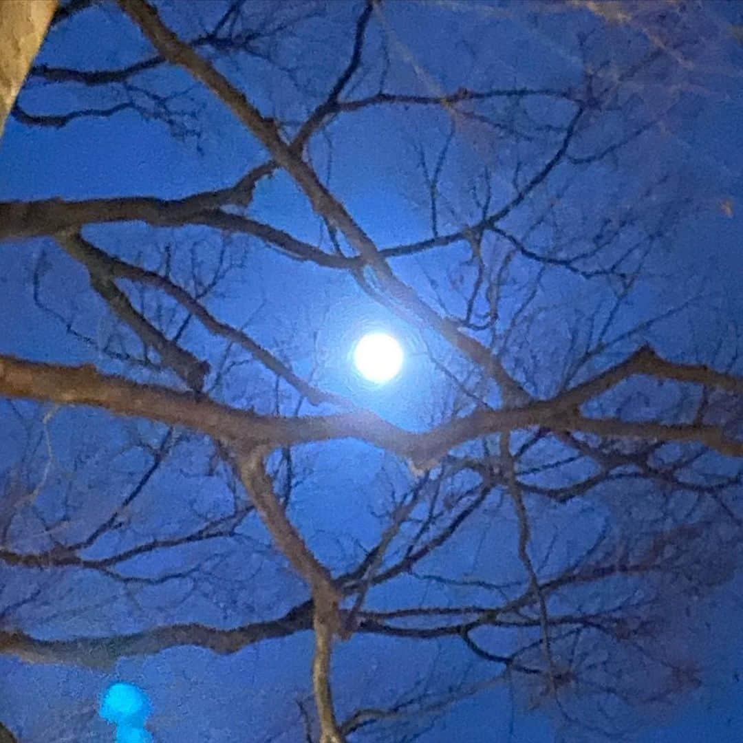 のインスタグラム：「. Make a wish upone a moon for world peace🙏✨ .. . 今年初めての満月。 世界が平和でありますように。」