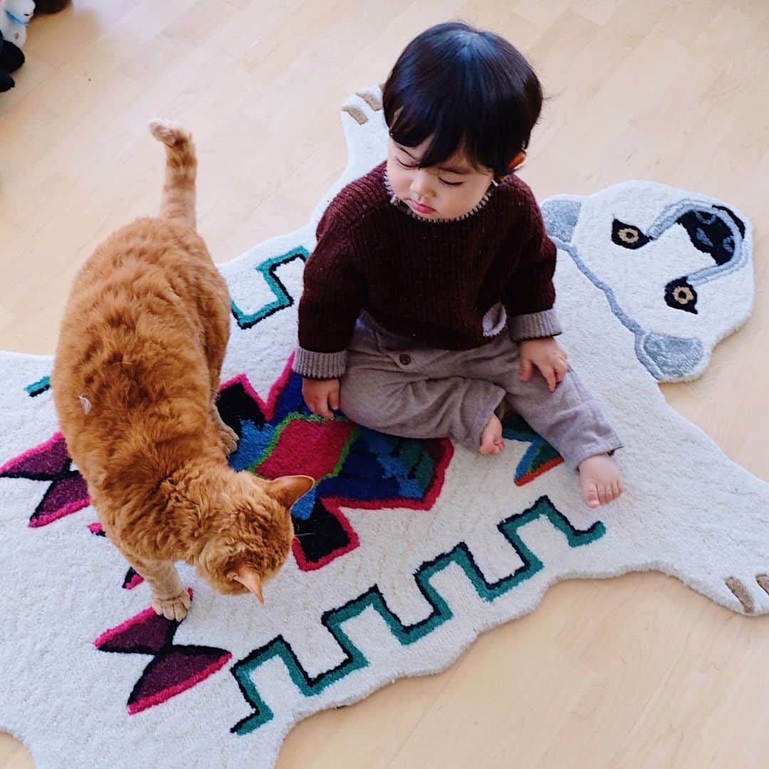 ギネス & ピムスさんのインスタグラム写真 - (ギネス & ピムスInstagram)「11/01/2020 Happy Caturday! ・ They’re brothers and also the best friends. Have a great weekend, everyone! ・ ・ 最近ピム丸と凪丸の仲が一気に 深まった気がする。 ピム丸は凪くんが産まれてから すごくお兄ちゃんらしくなり、 これは予想していなかった！ 一方、王子は全くブレず 相変わらずひとりっ子な感じで、 そこは予想通りだった。笑 皆さま素敵な週末を♬ ・ ・ #ピムスくん #ギネピムと凪くん  #1yearold #1歳 #1歳1ヶ月  #babyboy #男の子ベビー #赤ちゃんのいる生活 #赤ちゃんのいる暮らし #赤ちゃんと猫 #猫と赤ちゃん」1月11日 23時08分 - rina_takei