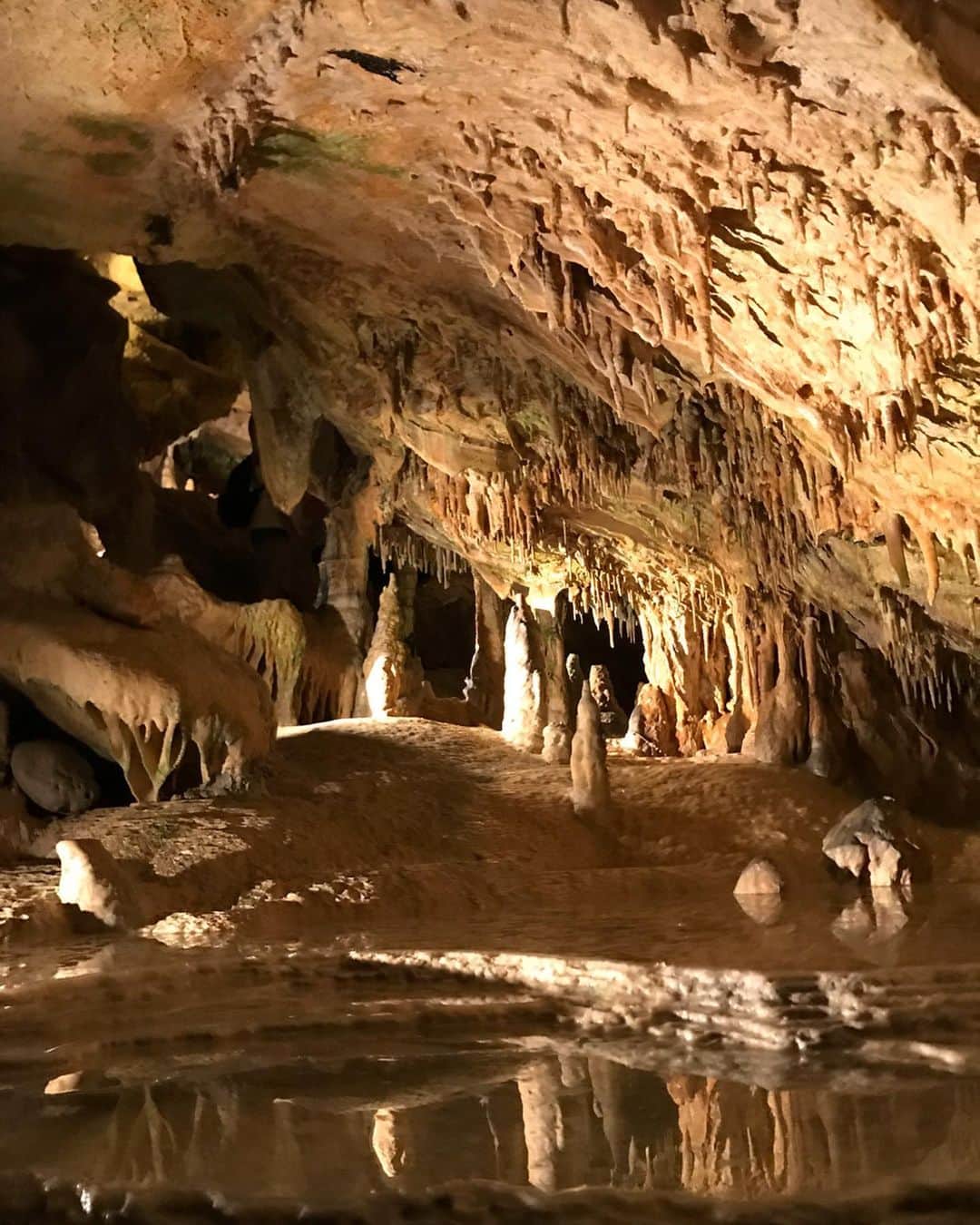 かにゃさんのインスタグラム写真 - (かにゃInstagram)「San Miguelの絶景スポット🌊✨ . . . #view #cave #sanmiguel #ibiza #spain #spain🇪🇸 #europa #travel #travelphotography #travelgram #traveling #travelling #travelblogger #traveltheworld #travelingram #instatravel #instatraveling #ヨーロッパ #旅行 #旅 #旅行好き #旅行大好き #旅行好きな人と繋がりたい #旅好きな人と繋がりたい #旅行好きと繋がりたい #イビザ #スペイン #スペイン旅行 #絶景 #洞窟」1月12日 10時22分 - kanya_435