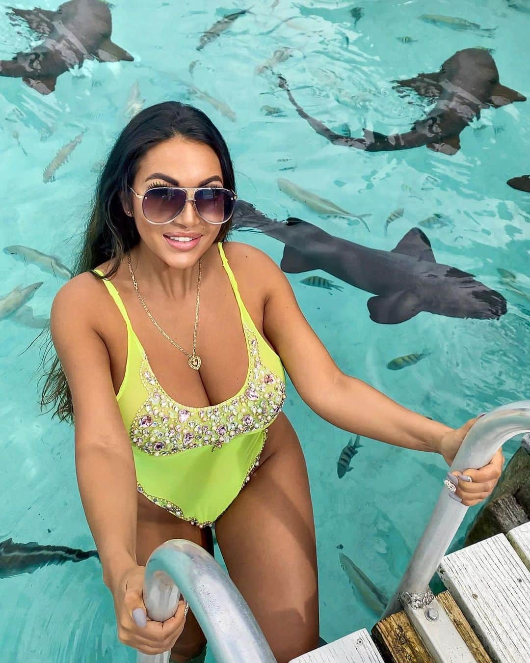 Aylen Aのインスタグラム：「There’s fish and there’s sharks, be a shark.🦈 Special thanks to @3nsstanielcay for this amazing experience.」