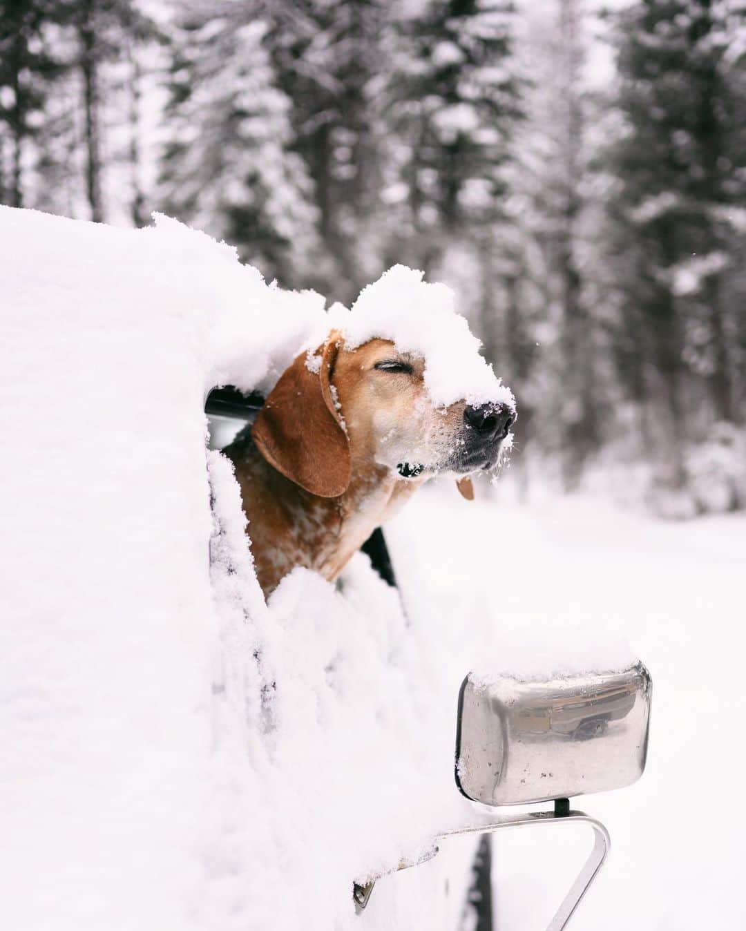 マディのインスタグラム：「All the snows! The powder is finally here and the backcountry is calling ⛄️」