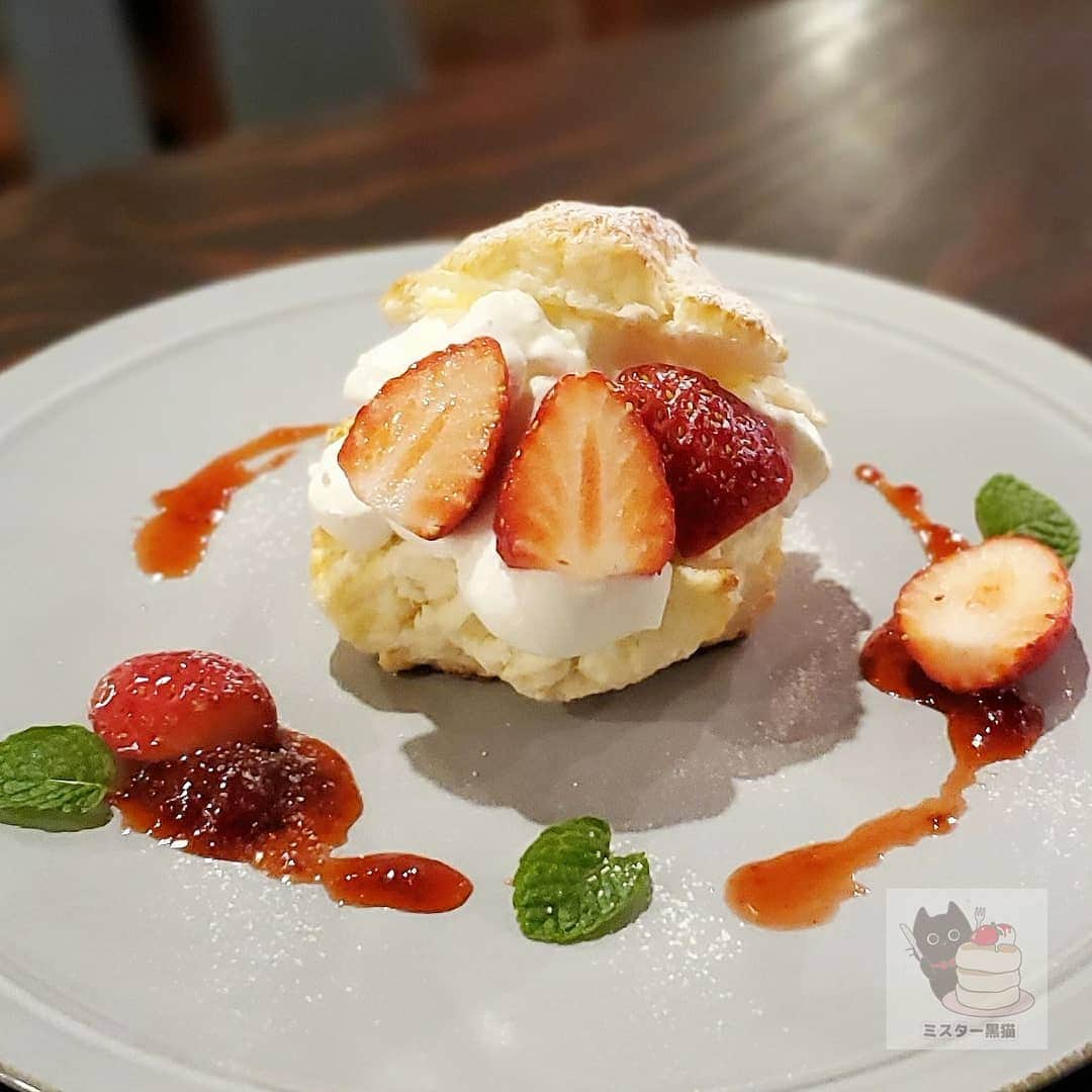 ミスター黒猫（黒猫仙人）のグルメインスタ