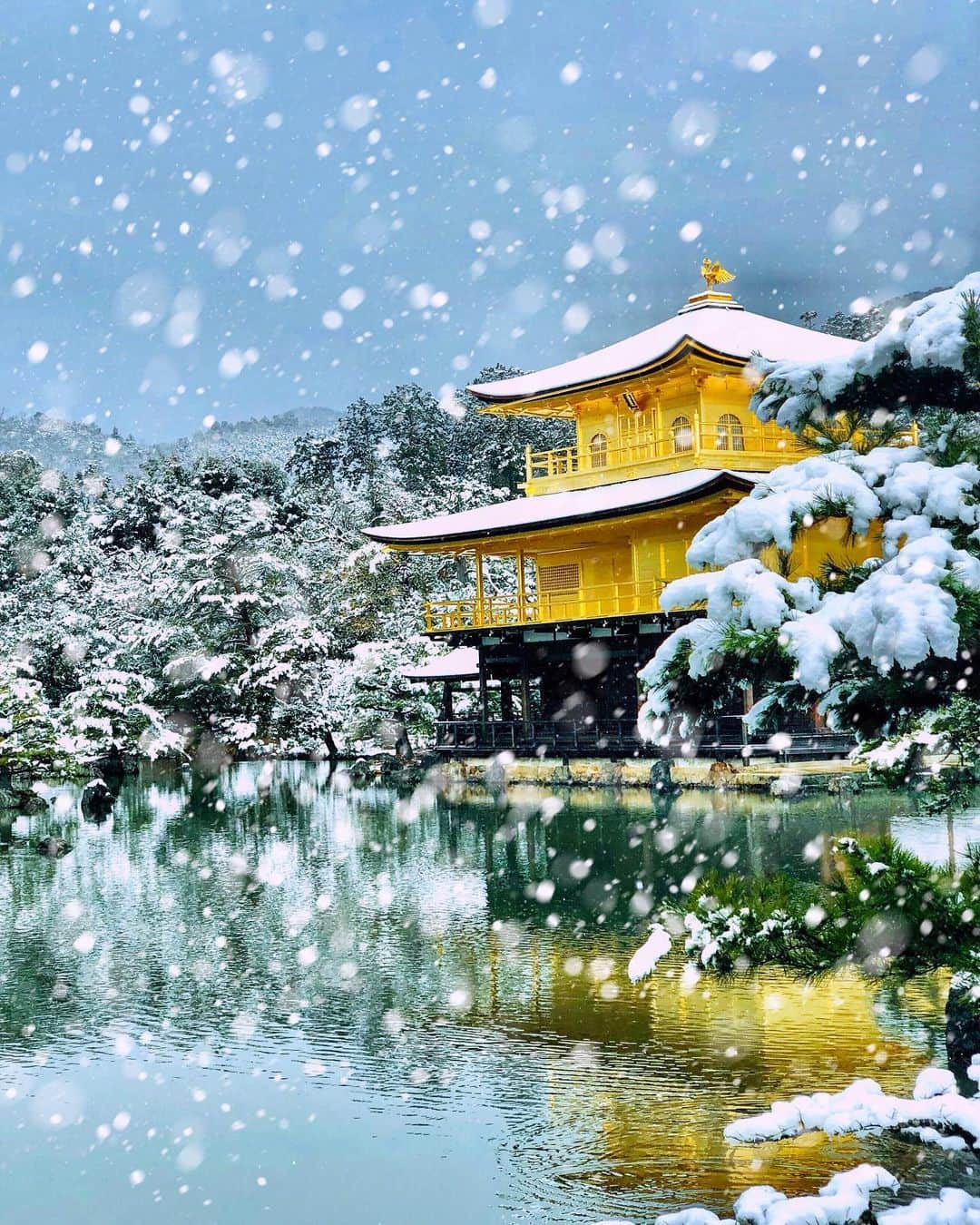 hama_aki_pppさんのインスタグラム写真 - (hama_aki_pppInstagram)「京都市北区#金閣寺 (#鹿苑寺 )  Location Kyoto Japan #kinkakuji  2019年1月撮影  昨年末2019年のいいね数トップ3を紹介しましたが、今回は個人的に好きなpostトップ3も紹介したいなあと。　 フォロワーの皆さんは多分見た事ある写真だと思うのでコメント欄は削除します。前回postした写真を少しレタッチしています。  #神社仏閣　 #寺院仏閣　 #美しい日本　 #日本の絶景　 #おとな旅プレミアム　 #絶景delic  #そうだ京都行こう　 #total_asia  #amazing_shotz  #top_favorite_shots  #amazingview  #traveljapan  #ippawards #wonderful_places  #worldbestshot  #earthofficial  #japanesetemple  #japanesegarden  #lovers_united_japan  #jalan_travel  #igbest_shots  #rakutentravel  #タビジェニ　 #楽天トラベル2019ベストトリップ」1月12日 6時23分 - hama_aki_ppp
