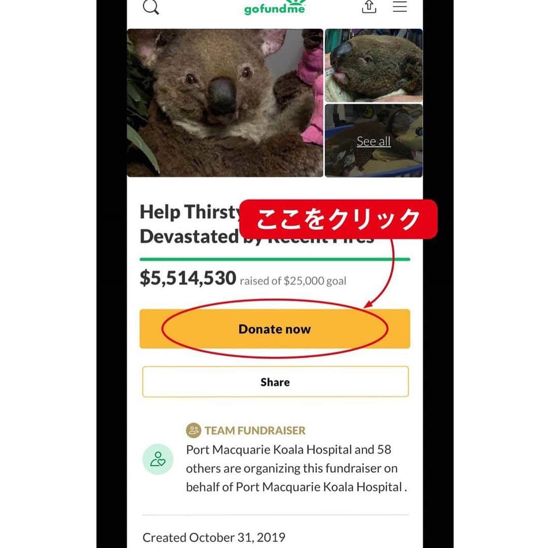 紗栄子さんのインスタグラム写真 - (紗栄子Instagram)「先日ストーリーズで投稿したオーストラリアの火災の記事。 英語表記での寄付の仕方がわからないとの声を受け、スタッフが日本語キャプションを付けてわかりやすくまとめてくれました！ 私が寄付をしたポートマッコーリー·コアラ病院が開設したGoFundMeというオンライン募金サイトと、ニューサウスウェールズ地方消防局のボランティア消防団たちへの支援先の募金方法を記載してありますので参考にしてくださいね！ URLがわからないかたは、私のプロフィールのハイライトにも載せておりますので、そちらでご確認ください！  小さなチカラも集まれば大きくなると信じて。 Pray for  Australia.🙏🇦🇺 #prayforaustralia #donation #寄付」1月12日 7時13分 - saekoofficial