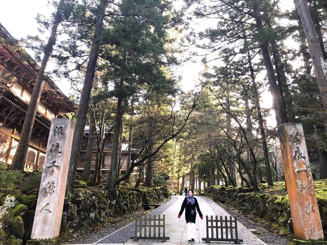 藤井美加子さんのインスタグラム写真 - (藤井美加子Instagram)「☆﻿ 禅の里 永平寺🇯🇵﻿ ﻿ ゴミや埃一つない廊下や階段はピカピカに磨き上げられ、すれ違う雲水の凛とした佇まいが印象的でした。ゴミ箱を「護美箱」と書いて美しさを護るのですね。 ﻿ ﻿ ﻿ #三木美加子#旅#美しく生きる#女優#美肌食マイスター#アンチエイジングアドバイザー#永平寺#北陸#福井　﻿ #trip#tripfashion#tripgram#actress#temple#photography#japantrip#japanphotography#japantravelphoto#japantravel」1月12日 19時35分 - mikako_miki