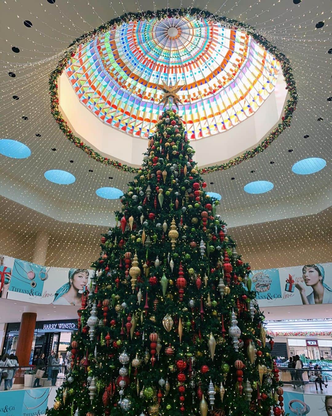 小林涼子さんのインスタグラム写真 - (小林涼子Instagram)「. クリスマス終わった後だったけれど 沢山のツリーが見れたよ🎄 こんなに大きいのに本物の木で出来ていたり、 全部本物のお花だったり…可愛いすぎた💘 シェイクもハンバーガーもアメリカンBBQも 好きすぎて毎日食べ過ぎちゃった 🍴 #語学勉強 #ホームステイ #ロサンゼルス #la #beach #sandiego  #balboaisland #orangecounty #santaana #irvine #drive #미국 #미국여행」1月12日 19時36分 - ryoko_kobayashi_ryoko