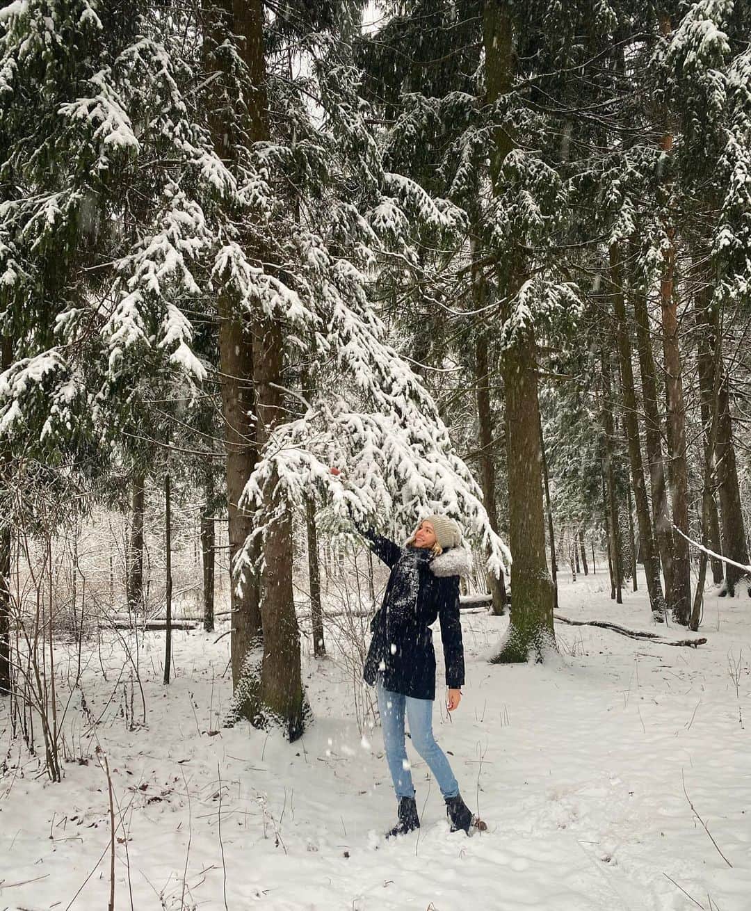 ヴァレンティナ・ゼリャヴァのインスタグラム：「Утро в еловом лесу 🧸」