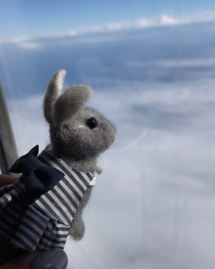 Kayoのインスタグラム：「✈️🌈❤️ ほんとは通路側がいいけど、 窓の外見たいから窓側派。 ちょっと寝ようと思ってても、結局ずっと空眺めて、目がぎんぎんで到着する  今までうさぎさん以外の写真あんま載せられなかたけど、やっぱ残していきたいと思う今日この頃。 年末年始の現実逃避を残します。」