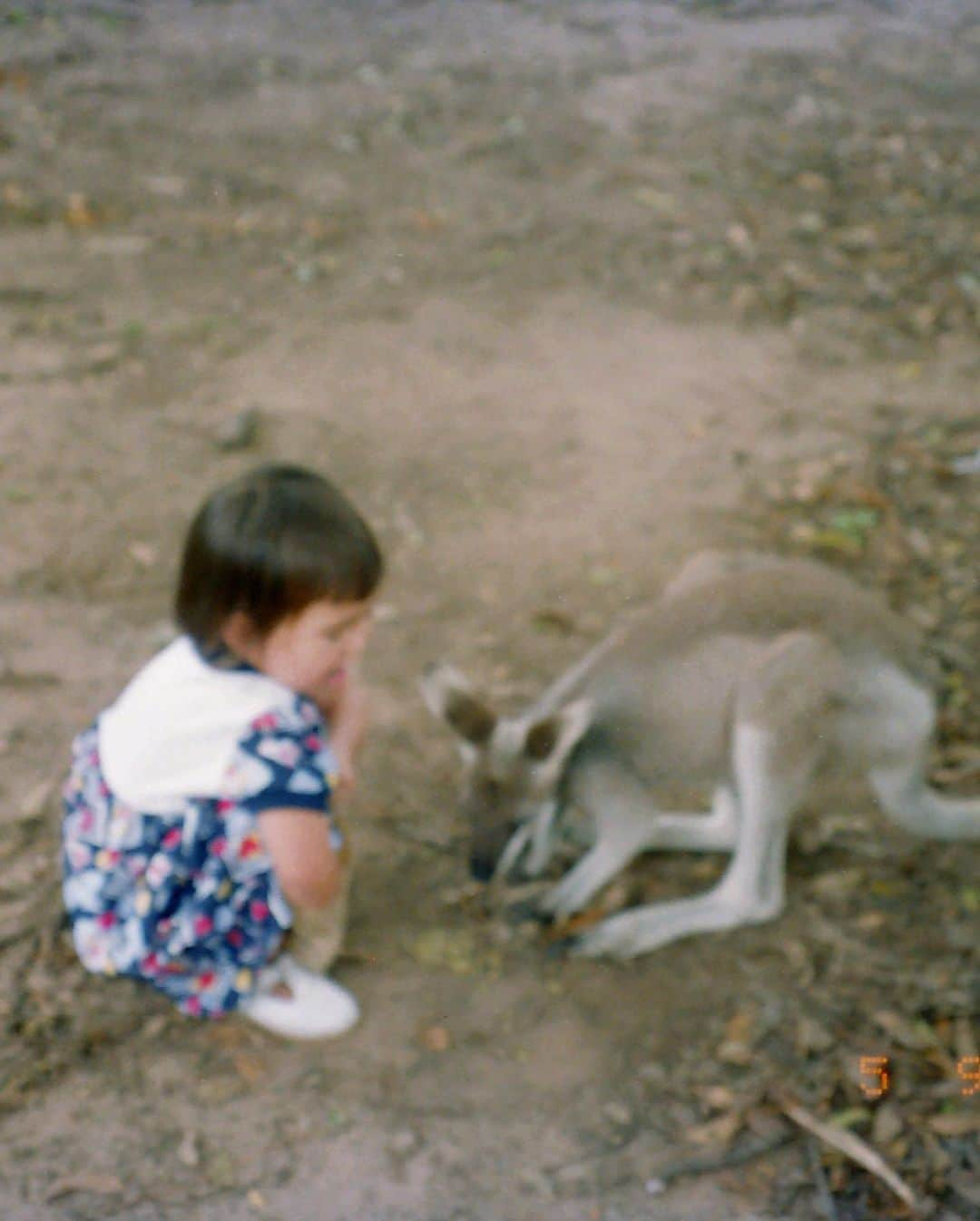 ハンナ・クインリヴァンさんのインスタグラム写真 - (ハンナ・クインリヴァンInstagram)「Australia, one of the most beautiful places on earth is going through a historic and immense tragedy.  Lovely memories from my younger days remind me of what we might lose if we don’t treasure what we have.  80% of Australian plants, mammals, reptiles and frogs are unique to Australia and are found nowhere else in the world. As of yesterday, 107,000 square kilometres of has been burnt, over 5,900 buildings destroyed  and 29 people have lost their lives. An estimated 1 billion animals have also been killed and some endangered species may be driven to extinction.  Let us do what we can to support the communities there which are suffering. The road to rebuilding might be lengthy. Please continue to share your love and we have to  take action on environmental sustainability today. Treasure our planet.」1月12日 20時14分 - hannah_quinlivan