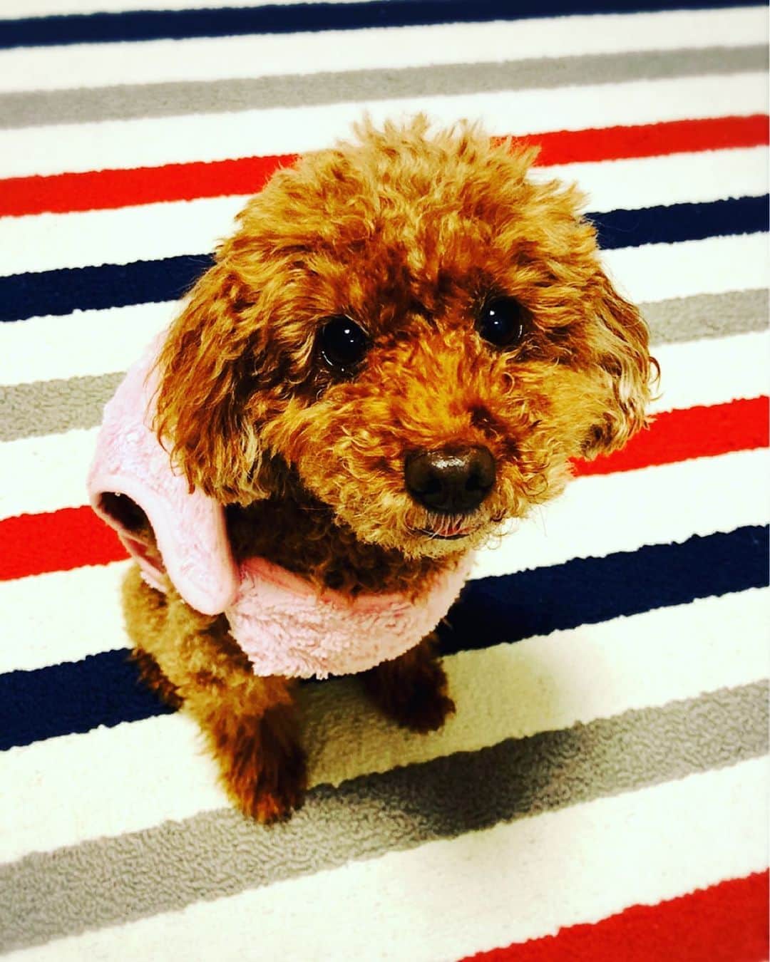 藤澤ノリマサのインスタグラム