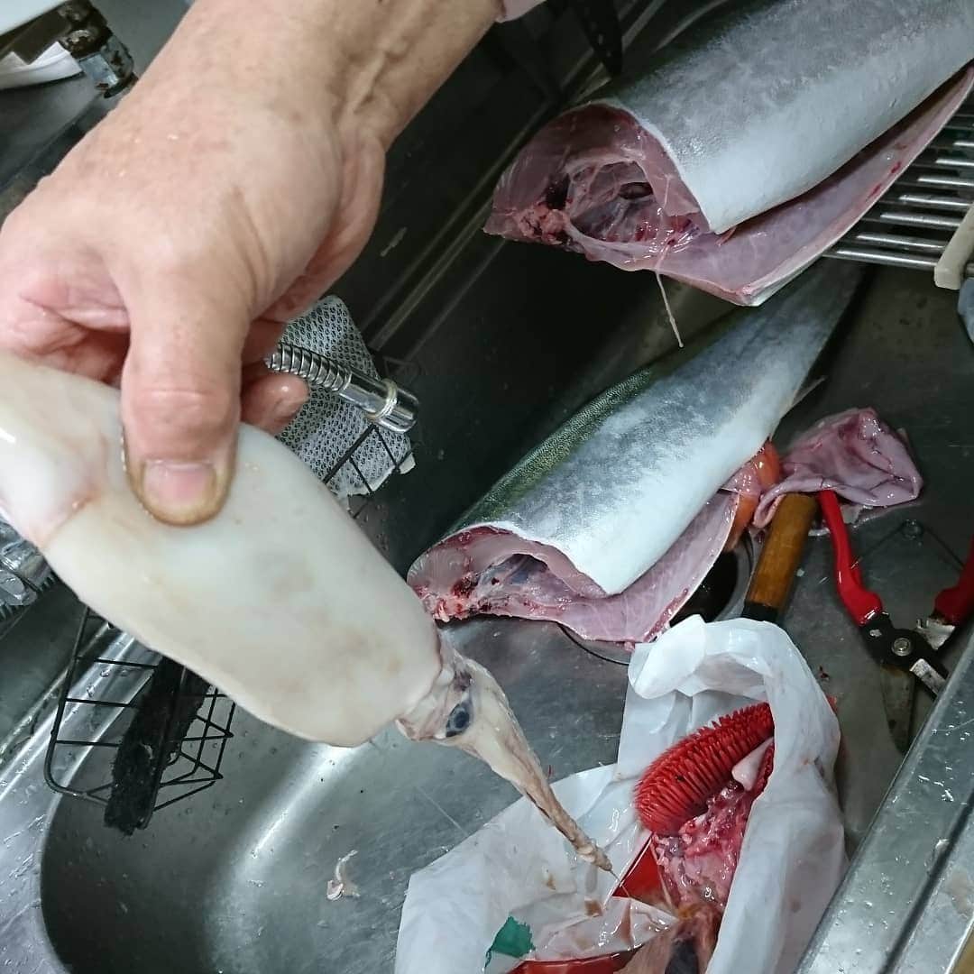 黒木優子さんのインスタグラム写真 - (黒木優子Instagram)「昨日釣ったぶりのお腹から…イカが丸々(゜ﾛ゜;ﾉ）ﾉ  イカ食べた後だったのにまだ食べようとしてたなんて…このぶりは大食いだ!笑」1月12日 11時40分 - yuko.kuroki