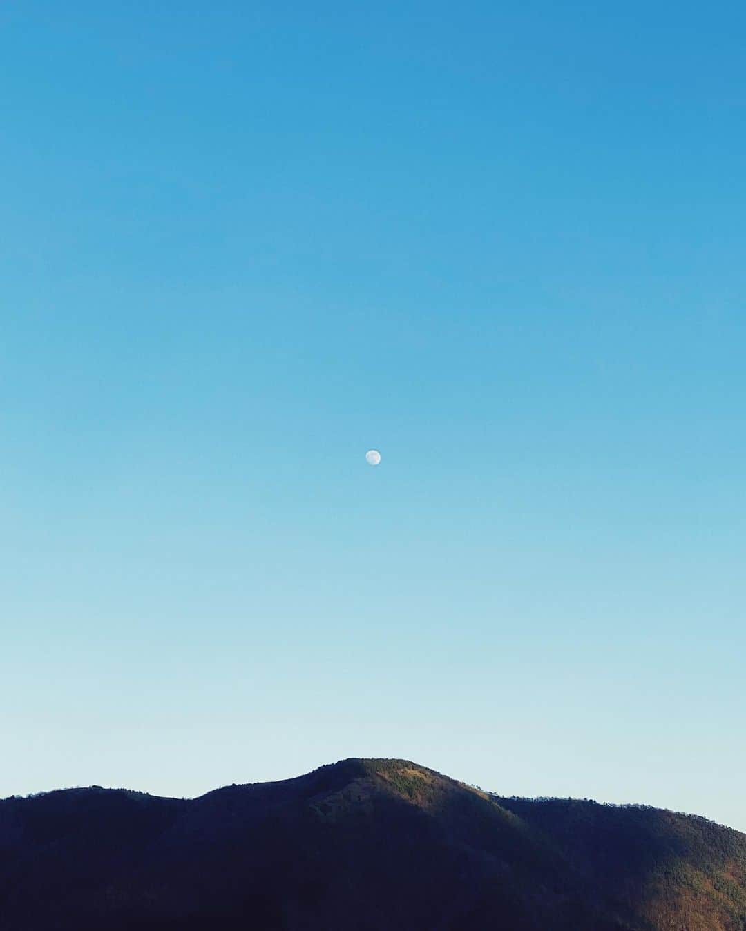 三浦大知さんのインスタグラム写真 - (三浦大知Instagram)「#月 #山 #まだ日があるときに月を見つけるとなんかちょっとテンションあがる #花札の絵柄感ある🎴」1月12日 13時19分 - daichimiura824