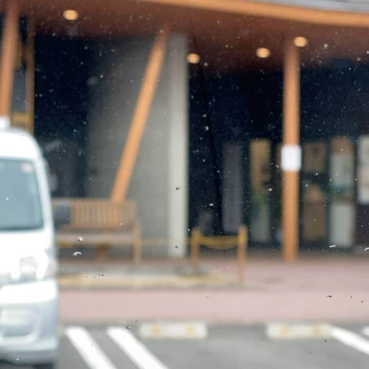 野間美由紀のインスタグラム：「小雪舞う中、軽井沢発地市庭の初売り行ってきました。干し芋とか鰹節とかキノコの福袋(笑)買えて満足。」