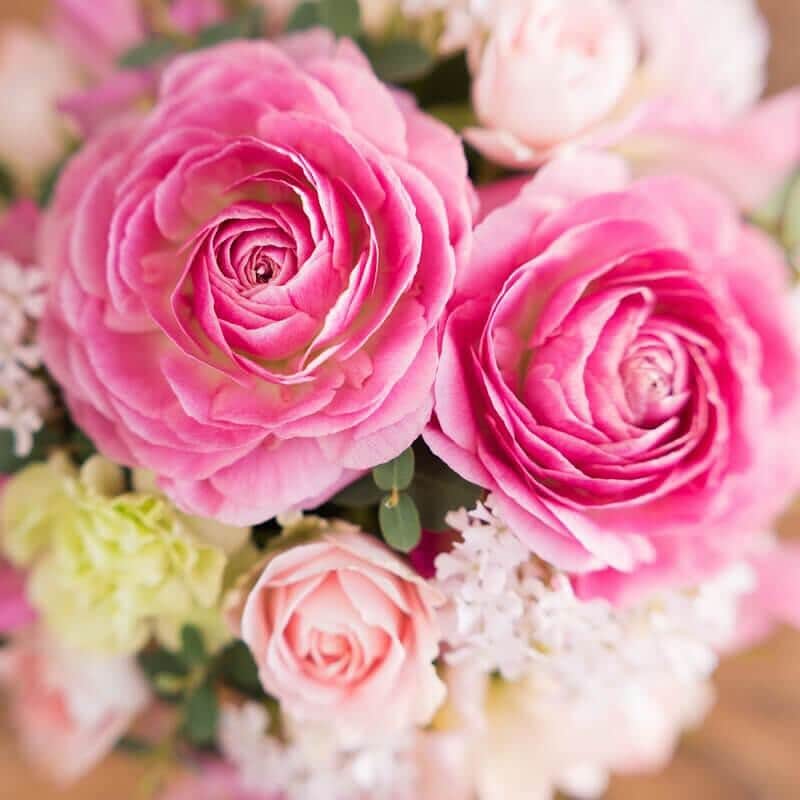 プシュケ[PSYCHE&]・花キューピットのインスタグラム：「. 春の花ラナンキュラス 幾層にも重なり合っている花びらが美しく、ふんわりとしたフォルムでかわいらしい雰囲気があります。 まだまだ寒い日が続きますが、早くもお花屋さんでは春の花たちが並び始めています。 . ラナンキュラスの茎は細く柔らかいため、花が開いてくると花の重みに耐えられず折れてしまうことがあります。 満開に近づくにつれ、少しずつ茎を切っていくと安心です。 . 色味はピンク・白・黄色・オレンジ・紫・赤・緑と多彩なカラーをもち、選ぶのが楽しくなる花でもあります。 近くのお花屋さんで好みのラナンキュラスを探してみてくださいね。 ｰｰｰｰｰｰｰｰｰｰｰｰｰｰｰｰｰｰｰｰｰｰｰｰｰｰｰｰｰｰｰｰｰｰｰｰｰｰｰｰｰｰｰｰｰｰｰｰｰｰｰ #プシュケ #花キューピット #花 #💐 #ラナンキュラス #spring #花に心を込めて #暮らしに花を #花のある暮らし #丁寧な暮らし #フラワーデザイン #インテリアフラワー #フラワーギフト #プシュケ_cute」