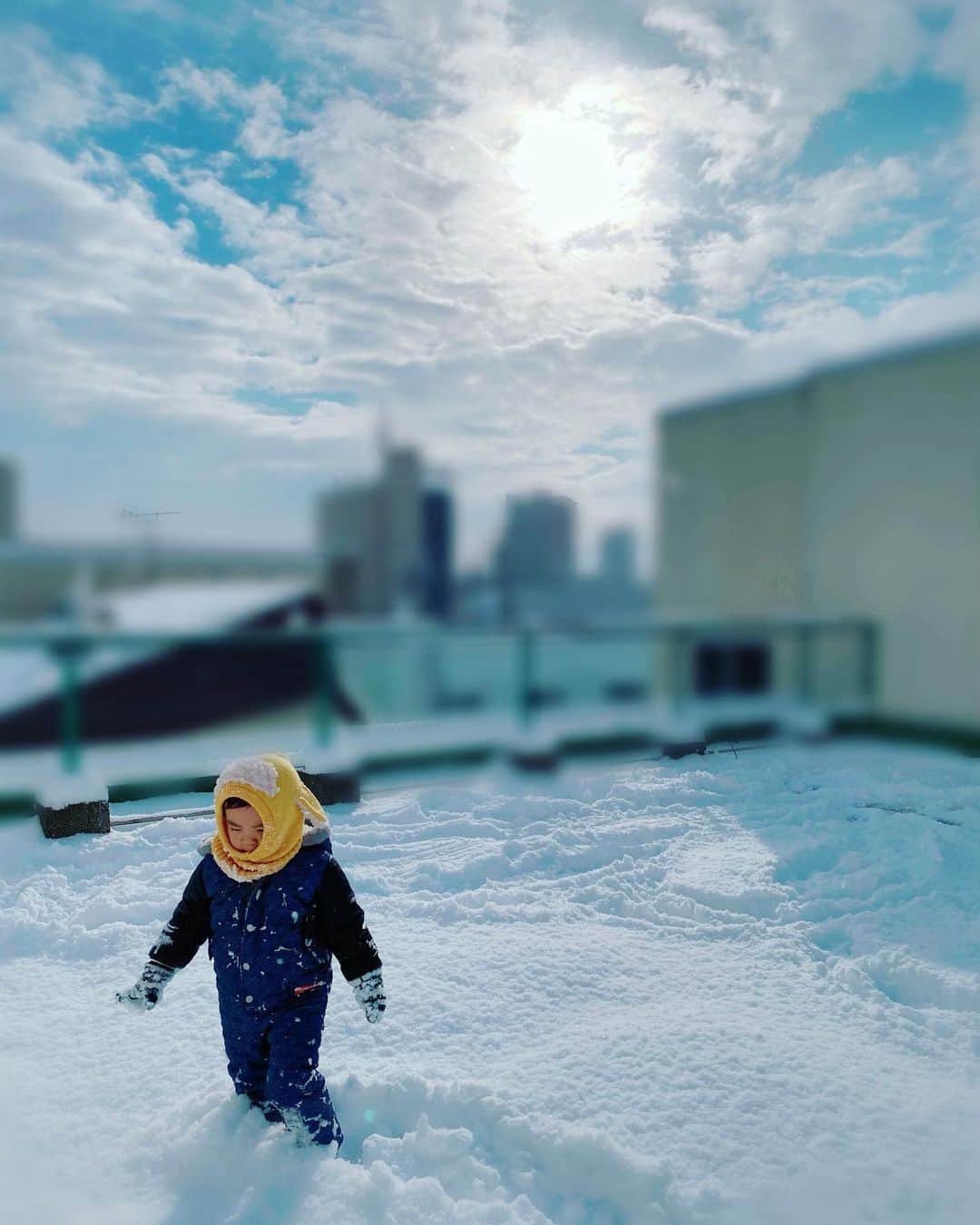 大西暁子さんのインスタグラム写真 - (大西暁子Instagram)「驚くほど雪の少ない札幌でも﻿ 何日かは雪遊びが出来た❄️﻿ ﻿ これだよこれー﻿ 冬は雪🥰﻿ ﻿ たまさんは﻿ わーゆきだー‼︎とテンション高く飛び込み﻿ ちめたいちめたいと笑ってました😂🥶﻿ ﻿ 『雪』というものが 白くて・ふわふわしていて・冷たいことを 理解してくれた模様💫💫💫﻿ ﻿ わんなっぷ！﻿ ﻿ #札幌　#雪遊び　#雪少なすぎないか？　#歩きやすいけど今後ドカっと降りすぎないことを願う　#雪を見なけりゃ冬を感じれない　#澄んだ空気が美味しかった　#札幌の思い出♡」1月12日 14時38分 - akiko_onishi11