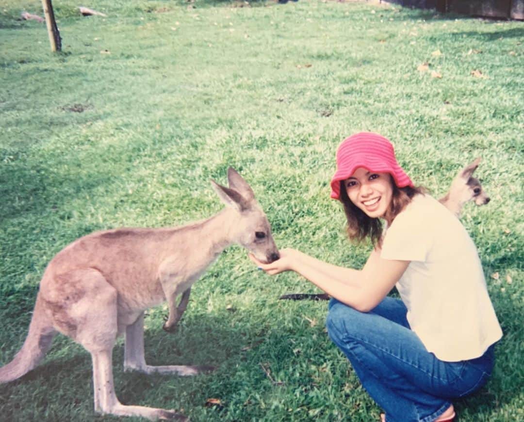 中林美和さんのインスタグラム写真 - (中林美和Instagram)「一人一人の力が合わされば 大きな力になる。 私も寄付しました。 自分のできることから。  #写真は20年以上前#オーストラリア#動物たちがとても優しいの#できることから始めよう  #prayforaustralia 🇦🇺🌍」1月12日 15時02分 - miwanakabayashi