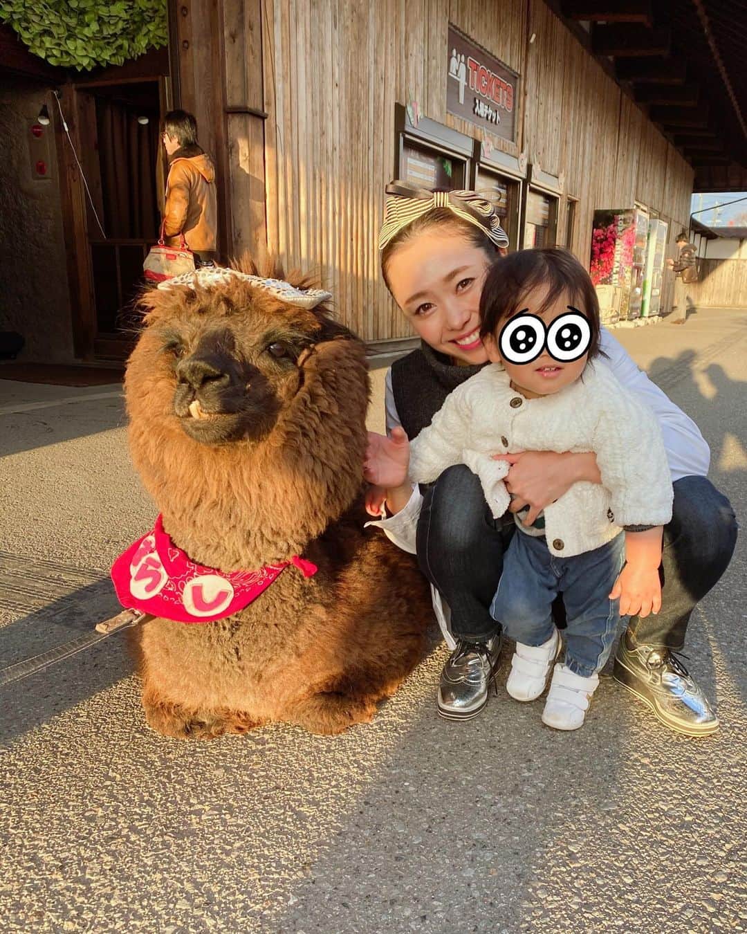 松本亜希さんのインスタグラム写真 - (松本亜希Instagram)「・ 息子を連れて行きたかった #神戸動物王国 へ先日行ってきました🦁🦙 ・ 行ったことある友達皆から、動物との距離がすごく近いし楽しめるよと聞いていたのですが、本当に全ての動物が近くて、触れ合えるところもあり、ショーとか餌やりとかも色々楽しめて、本当によかった！ ・ 息子も"あ！"とか"おぉ！"とか"ワンワン🐶"とかお喋りしながらキョロキョロしながらすごく喜んでくれてたくさんの笑顔が見れました😆 行ったことない方とってもオススメです😍😍 なんなら私またすぐ行きたい‼️ ・ あと、私昔からアルパカめっちゃ好きなんですけど、今アルパカの赤ちゃんが居てて、6枚目に載せてるんですが、劇的に可愛くてわたしゃ大興奮してしまいました 笑 #まつ毛つけまつげつけてるみたいですやん ・ あと4枚目5枚目は帰り出口出たらアルパカのアラシくんが待ち構えてくれてて一緒に写真撮れたのも嬉しかった🤣 #夫がアラシくん今年で引退ですねとジャニーズの嵐にかけて係員の人にいきなり言ってえっみたいな雰囲気流れて一体何を言い出すんやと恥ずかしかった爆 #係員さんああアラシくんはまだまだ引退しないですよと頑張ってノッてくれてほんますんませんとなりました😅 ・ 最後の動画は息子、あっという間にあんよ上手になって、こんなふうにおてて繋いですぐ歩けるときがくるなんてとおかんは嬉しくて嬉しくてたまりませんでした。 親バカですが、歩けるようになって、ちょっとずつおしゃべりできるようになってきて益々可愛くてこの気持ちどうしたらいいか最近わかりません🤣🤣🤣🤣 __________________________________ #動物園 #familyday #家族 #息子 #1歳3ヶ月 #aki_mamalife」1月12日 15時44分 - m_akiron