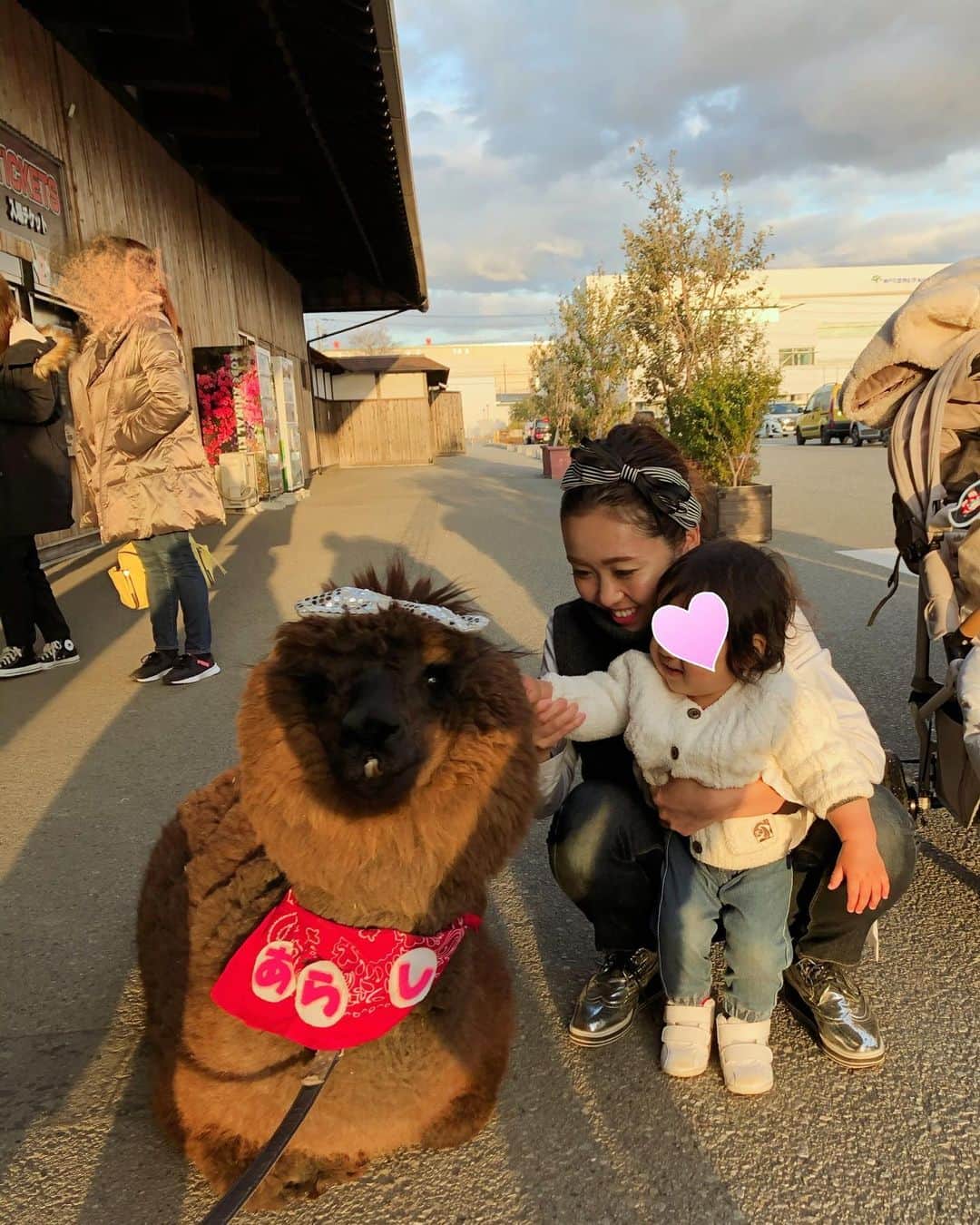 松本亜希さんのインスタグラム写真 - (松本亜希Instagram)「・ 息子を連れて行きたかった #神戸動物王国 へ先日行ってきました🦁🦙 ・ 行ったことある友達皆から、動物との距離がすごく近いし楽しめるよと聞いていたのですが、本当に全ての動物が近くて、触れ合えるところもあり、ショーとか餌やりとかも色々楽しめて、本当によかった！ ・ 息子も"あ！"とか"おぉ！"とか"ワンワン🐶"とかお喋りしながらキョロキョロしながらすごく喜んでくれてたくさんの笑顔が見れました😆 行ったことない方とってもオススメです😍😍 なんなら私またすぐ行きたい‼️ ・ あと、私昔からアルパカめっちゃ好きなんですけど、今アルパカの赤ちゃんが居てて、6枚目に載せてるんですが、劇的に可愛くてわたしゃ大興奮してしまいました 笑 #まつ毛つけまつげつけてるみたいですやん ・ あと4枚目5枚目は帰り出口出たらアルパカのアラシくんが待ち構えてくれてて一緒に写真撮れたのも嬉しかった🤣 #夫がアラシくん今年で引退ですねとジャニーズの嵐にかけて係員の人にいきなり言ってえっみたいな雰囲気流れて一体何を言い出すんやと恥ずかしかった爆 #係員さんああアラシくんはまだまだ引退しないですよと頑張ってノッてくれてほんますんませんとなりました😅 ・ 最後の動画は息子、あっという間にあんよ上手になって、こんなふうにおてて繋いですぐ歩けるときがくるなんてとおかんは嬉しくて嬉しくてたまりませんでした。 親バカですが、歩けるようになって、ちょっとずつおしゃべりできるようになってきて益々可愛くてこの気持ちどうしたらいいか最近わかりません🤣🤣🤣🤣 __________________________________ #動物園 #familyday #家族 #息子 #1歳3ヶ月 #aki_mamalife」1月12日 15時44分 - m_akiron