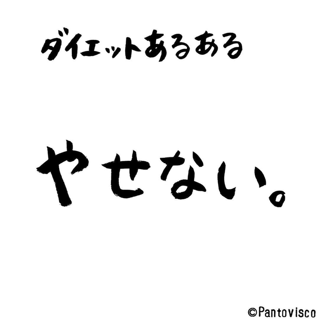 pantoviscoさんのインスタグラム写真 - (pantoviscoInstagram)「『ダイエットあるある』 #ど直球」1月12日 17時32分 - pantovisco