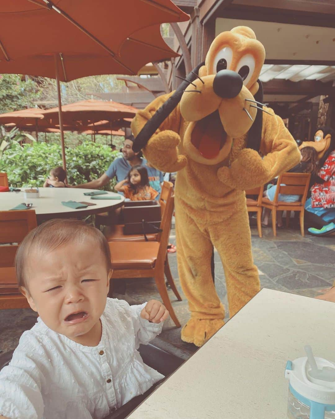 里見茜さんのインスタグラム写真 - (里見茜Instagram)「今回の旅で 一番楽しみにしていた マカヒキの朝食❣️ 出てきてくれたプルートとグーフィーには大泣き(笑) けどミニーにはハイタッチしていました👩‍❤️‍💋‍👨 なんでだろ？やっぱり女の子には心を開きやすいのかな？😹💗 #アウラニディズニー #アウラニ #ママ達#なぜか#照れる#breakfast #disney #makahiki」1月12日 18時11分 - satomiakane