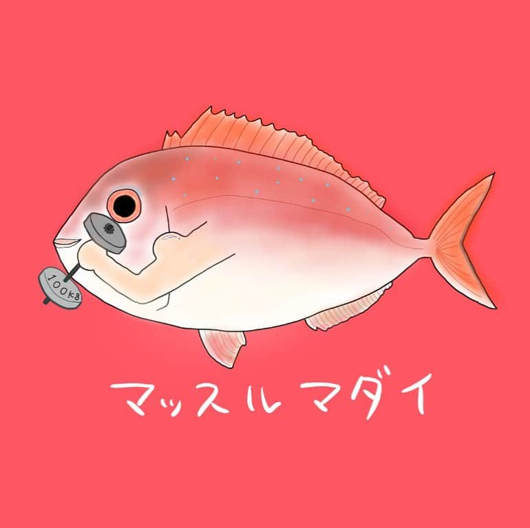 高本采実さんのインスタグラム写真 - (高本采実Instagram)「🐟 ブログ記事の為に描いてみた マッスルマダイのイメージイラスト。 マッチョな感じを伝えたくて... 自分で描いときながら このマダイ気持ち悪くて笑ってしまう😂 ムキムキ、マッスルマダイだよ。🐟💪 . . ブログはプロフィールトップページのURLから。 または「魚と釣りと時々料理」 「高本采実　ブログ」 で検索🔍✨ . . . . . #マダイ #真鯛 #マッスルマダイ #肉厚マダイ #イメージイラスト #きもかわいい #ゲノム編集 #近大 #水産 #魚イラスト #fishdrawing  #muscle #真鲷 #seabream  #redseabream  #釣り #釣り好き #釣りガール #fishinglife #钓鱼 #釣りブログ #水産学 #fishery #魚と釣りと時々料理 #高本采実 #あやみん #ayamistagram」1月12日 19時04分 - ayami__summer