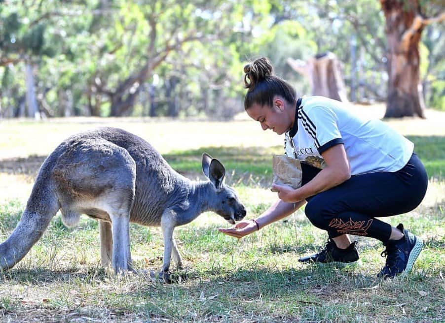 マリア・サッカリさんのインスタグラム写真 - (マリア・サッカリInstagram)「These amazing animals have been through so much in the past couple of weeks so let’s all get together and try to help. @wwf_australia @wireswildliferescue  Thanks to @clelandwildlifepark for giving us this opportunity! #WildLife #Australia #Bushfires」1月12日 19時09分 - mariasakkari