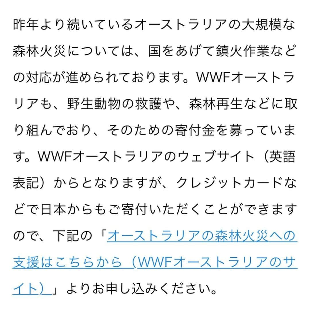 青柳文子さんのインスタグラム写真 - (青柳文子Instagram)「⁣ オーストラリアをはじめとした世界各地で起きている森林火災について🔥🔥🔥 ⁣ ⁣ 支援したいと思っていたけど、諸々あって足踏みしていたという人は、私のFan'sのコメント欄に🔥寄付希望🔥と書いていただけたら、月会費を全額 @wwf_australia を通じて寄付させていただきます。 ⁣ ⁣ （Fan'sというのは、最近私がせっせと更新しているTwitterの有料サービスで、私を好きでいてくれる人々によるコミュニティのようなオンラインサロンのようなものです。⁣ ⁣ 登録はInstagramのプロフィールページにあるURLか、私のTwitterから出来ます）⁣ ⁣ Fan'sも気になってはいたけど、登録めんどくさいと思ってた皆様は、これを機に登録していただければ嬉しいです。⁣ そして　寄付希望　と必ずコメントをください！⚠️⁣ ⁣ 会員費は330円なので、もっと寄付したい＆別に青柳の投稿とか興味ねぇよというお方は、@wwf_australia のサイトから支援できます🔥🐨 ⁣ ⁣ 月末、集まった人数分+私からの分を代表してWWFオーストラリアさんを通じて寄付させていただきます。⁣ ⁣ まだまだ私のFan's会員も少ないので、微々たるものかもしれませんが、、是非たくさんの方からの登録＆寄付希望コメントお待ちしています。⁣ ⁣ ＿＿＿＿＿＿＿＿＿＿＿＿＿＿＿⁣ ⁣ 【今回の投稿写真の説明】⁣ ⁣ 1.昨夏のアマゾン森林火災の時に @wwfjapan に寄付したら届いた🐼 ⁣の葉書とうちのパンダ ⁣ 2〜4. @wwfjapan ⁣ ここからは直接寄付はできないため次のオーストラリアのサイトからします⁣ ⁣ 5.寄付しようとしている@wwf_australia のサイト⁣ ⁣ 6〜8.今回の経緯。⁣ Fan'sの既存会員さんに相談したところ、すぐにコメントをくれた方々が快く賛同してくださったのでこちらにも投稿しました。お金の絡む話だし少し躊躇してたけど、背中を押してくれた既存会員の皆さんありがとう🙏🏻」1月13日 4時51分 - aoyagifumiko