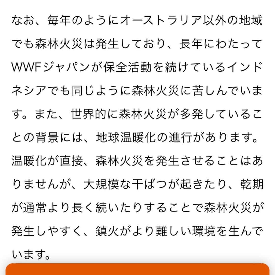 青柳文子さんのインスタグラム写真 - (青柳文子Instagram)「⁣ オーストラリアをはじめとした世界各地で起きている森林火災について🔥🔥🔥 ⁣ ⁣ 支援したいと思っていたけど、諸々あって足踏みしていたという人は、私のFan'sのコメント欄に🔥寄付希望🔥と書いていただけたら、月会費を全額 @wwf_australia を通じて寄付させていただきます。 ⁣ ⁣ （Fan'sというのは、最近私がせっせと更新しているTwitterの有料サービスで、私を好きでいてくれる人々によるコミュニティのようなオンラインサロンのようなものです。⁣ ⁣ 登録はInstagramのプロフィールページにあるURLか、私のTwitterから出来ます）⁣ ⁣ Fan'sも気になってはいたけど、登録めんどくさいと思ってた皆様は、これを機に登録していただければ嬉しいです。⁣ そして　寄付希望　と必ずコメントをください！⚠️⁣ ⁣ 会員費は330円なので、もっと寄付したい＆別に青柳の投稿とか興味ねぇよというお方は、@wwf_australia のサイトから支援できます🔥🐨 ⁣ ⁣ 月末、集まった人数分+私からの分を代表してWWFオーストラリアさんを通じて寄付させていただきます。⁣ ⁣ まだまだ私のFan's会員も少ないので、微々たるものかもしれませんが、、是非たくさんの方からの登録＆寄付希望コメントお待ちしています。⁣ ⁣ ＿＿＿＿＿＿＿＿＿＿＿＿＿＿＿⁣ ⁣ 【今回の投稿写真の説明】⁣ ⁣ 1.昨夏のアマゾン森林火災の時に @wwfjapan に寄付したら届いた🐼 ⁣の葉書とうちのパンダ ⁣ 2〜4. @wwfjapan ⁣ ここからは直接寄付はできないため次のオーストラリアのサイトからします⁣ ⁣ 5.寄付しようとしている@wwf_australia のサイト⁣ ⁣ 6〜8.今回の経緯。⁣ Fan'sの既存会員さんに相談したところ、すぐにコメントをくれた方々が快く賛同してくださったのでこちらにも投稿しました。お金の絡む話だし少し躊躇してたけど、背中を押してくれた既存会員の皆さんありがとう🙏🏻」1月13日 4時51分 - aoyagifumiko