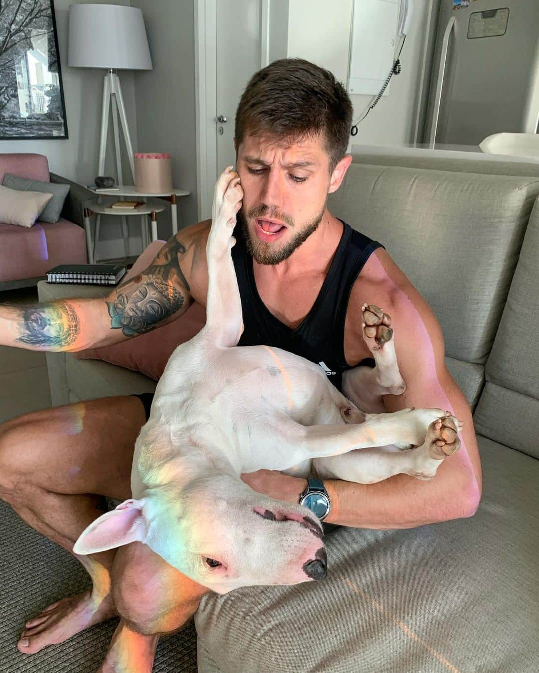 Jonas Sulzbachさんのインスタグラム写真 - (Jonas SulzbachInstagram)「Qual foto representa mais sua vida amorosa? 😂 1, 2 ou as duas? 😂 @bud.bullterrier」1月13日 5時44分 - jonassulzbach