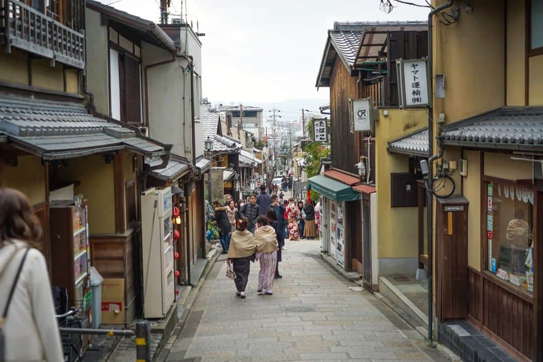 MagicalTripさんのインスタグラム写真 - (MagicalTripInstagram)「Hello! This is Magical Trip @magicaltripcom. Let us introduce the experiences we are offering in Japan 🇯🇵 Today, we will introduce another tour we are offering in Kyoto. 【Kyoto Tea Ceremony & Kiyomizu-dera Temple Walking Tour】 “Tea Ceremony” Enjoy traditional-style tea ceremony with Japanese sweets in a sophisticated room surrounded by tea utensils such as a tea whisk made of bamboo and unique tea bowls. Kyoto remains the center of Japanese tea ceremonies offering an opportunity for guests to make powdered green tea on their own. We offer you a chance to learn Japanese words and history related to the tea ceremony as well as the steps in making traditional matcha. Don't miss this extravagent opportunity to experience the authenticity of the tea ceremony.  What are we going to do on this experience? ① Authentic tea ceremony experience. ② Learn about the ancient towns of Kyoto ③ Gain knowledge on Japanese religious culture at Kiyomizu-dera temple.  If you are interested, please check out the tour from the link in the bio! @magicaltripcom  #magicaltrip #magicaltripcom #walkwithlocals #traveldeeper #japantravel #japantrip #japanbeauty #japannature  #kyoto #kyototrip #kyototravel #kyotojapan #kyotolocal #streetfoods #kyotofood #kyotostreet #kyotostreetfood #kyotostreetfoods #kyotostreetfoodtrip  #kyotostyle #kiyomizudera  #kiyomizuderatemple  #kiyomizudera⛩  #kyototea  #kyototeaceremony  #kyototemple #kyotoshirine #kyotogram #kyotogarden #instakyoto」1月12日 21時00分 - magicaltripcom