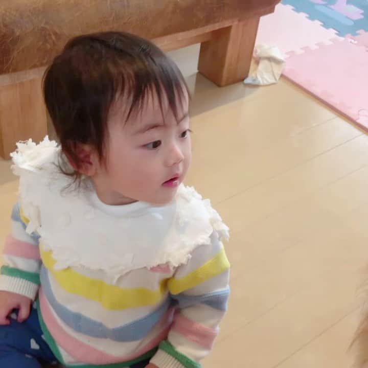 のインスタグラム：「最近のおにこさん👶🎦 ☑︎大ウケ大爆笑の図 ☑︎パチパチ👏 ☑︎はわわわわ🥱 ☑︎おちゅむてんてん🦱🙌 . 毎日成長に感動しまくり♡ 可愛くて楽しくて幸せで癒し♡ . #thedays_of_nico #mama#baby#mamalife#babygirl#ママライフ#女の子ママ#ママ#ママリ#mamagirl#10ヶ月  #赤ちゃん#女の子ベビー#10ヶ月ベビー」