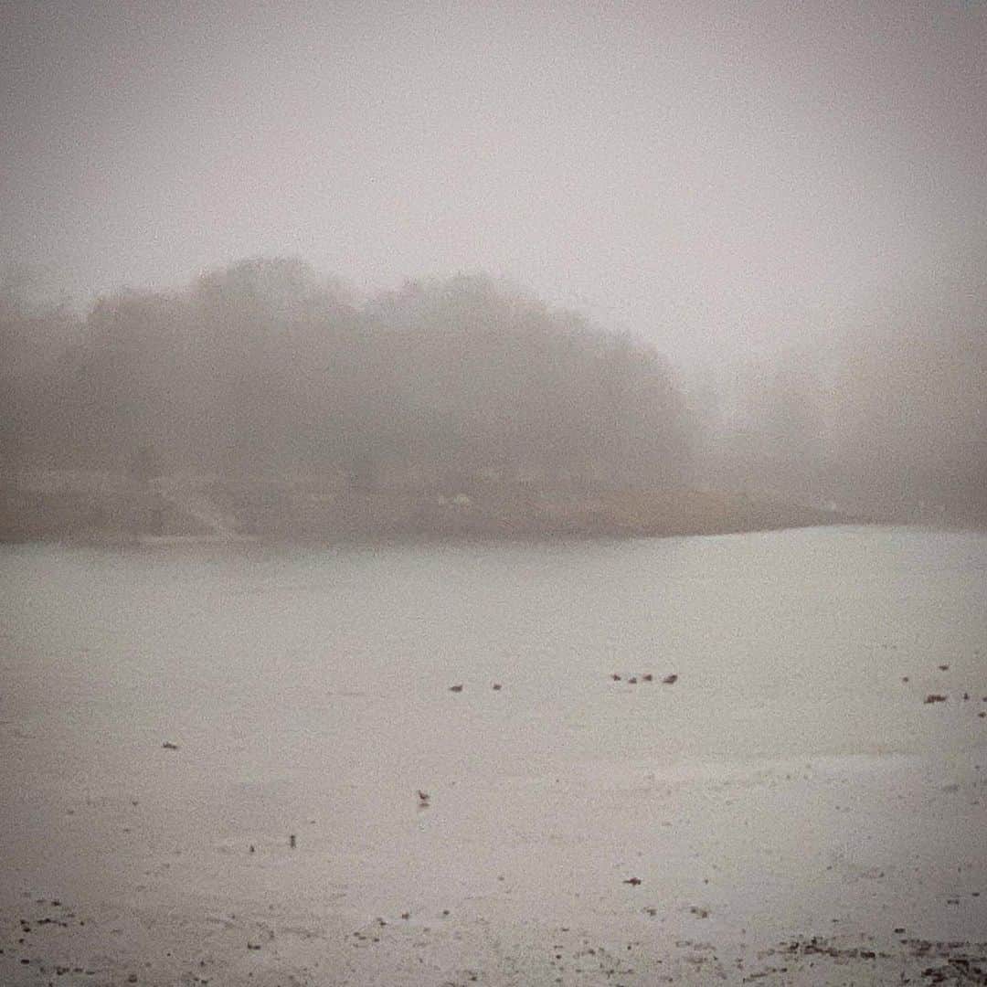 ロン・ハワードさんのインスタグラム写真 - (ロン・ハワードInstagram)「foggy #newengland morning.」1月12日 21時38分 - realronhoward