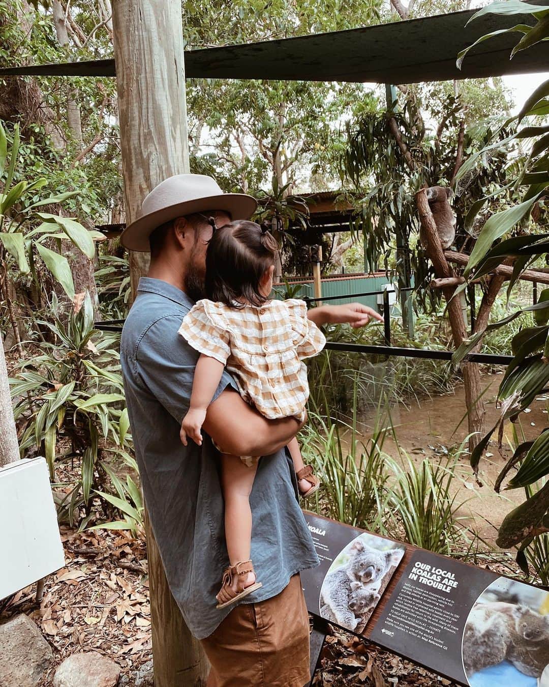 岡田美季さんのインスタグラム写真 - (岡田美季Instagram)「先日、動物自然保護区のあるワイルドライフに寄ってきました！ 本当の状況を知らず誤った情報を発信する事が嫌だったので自然災害に関する情報発信などはしてきませんでした。 今回、このタイミングでオーストラリアへの出張だったので考える事もたくさんありこのpostを書いています。 オーストラリアの森林火災によりたくさんの野生動物が命を落としていて、消防士さん達が自分の仕事にも行けず消火活動をしている事。きっとそれ以外にも被害は深刻だと思います。 沿岸部に滞在している事もあってか旅行で毎年来ているだけの私からしたらいつもとの街の変化もあまり感じず、変わった事は街でたくさんの募金箱を見ること。 今はそのくらいの変化しか気付いてない状況だけど、これ以上広まらないようにそして本当に一刻も早く落ち着く事を祈っています。。 動物を見て感じる事も今までとは違う感情で少しでも助けてあげられたらと。 今日ゴールドコーストでは1日中、雨でした。 いつもなら落ち込むだろうけど今日は少しでも恵の雨になるなら良いなと。 オーストラリアに滞在していても本当に目に見えない事ばかりで私から何かを伝えられる事はないけれど少しでもたくさんのこんなにかわいい動物園達の命が救われればと思います。 @redcrossau @portmacquariekoalahospital」1月12日 21時48分 - mikiokada0225