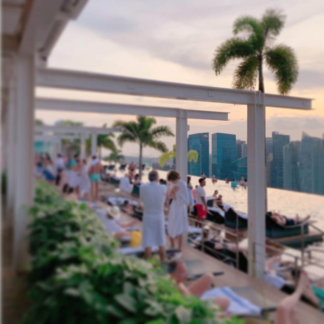 Yukiさんのインスタグラム写真 - (YukiInstagram)「✈︎ 🇸🇬 ㅤㅤㅤㅤㅤㅤㅤㅤㅤㅤㅤㅤㅤ Marina Bay Sands 🏨 一度は泊まってみたかった♡ 48階のお部屋から 夜のショー（スペクトラ）を鑑賞。 きらめく景色を満喫できた☺️ インフィニティ・プールは夜に🌃 比較的人が少なく、のんびり泳げた👙 展望デッキにも行けて大満足🌷 ㅤㅤㅤㅤㅤㅤㅤㅤㅤㅤㅤㅤㅤ #marinabaysands #marinabaysandshotel  #シンガポール旅行 #ゆき旅メモ  #マリーナベイサンズ #ホテル」1月12日 21時53分 - yukii061